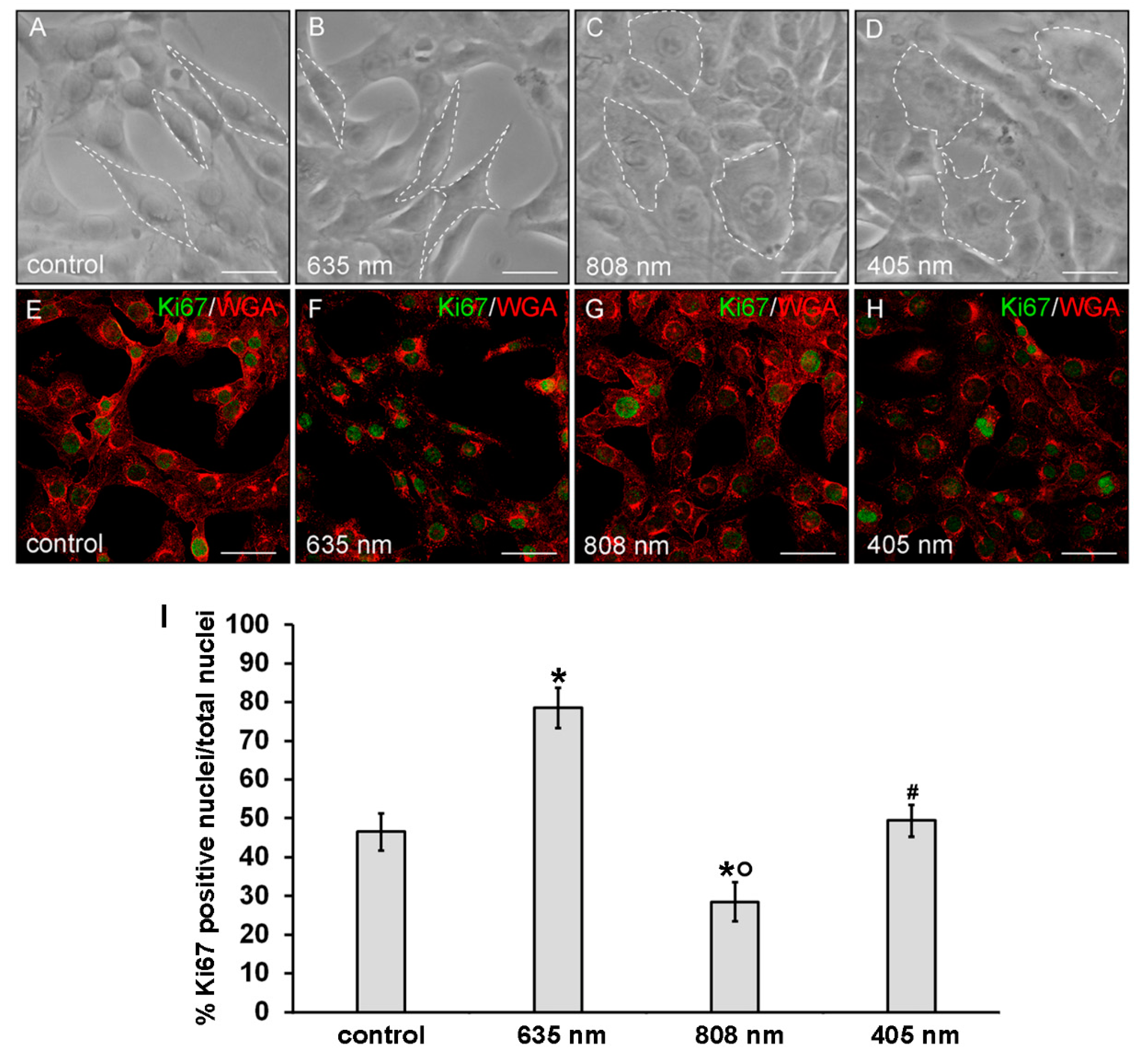 Applsci 10 07878 g003 Applsci 10 07878 g003