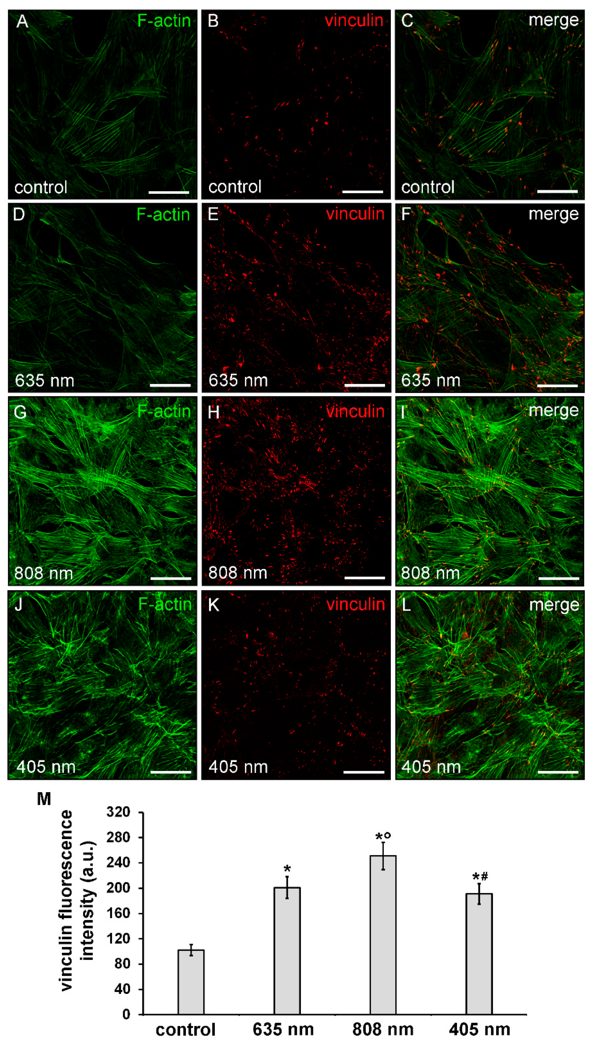Applsci 10 07878 g005 Applsci 10 07878 g005