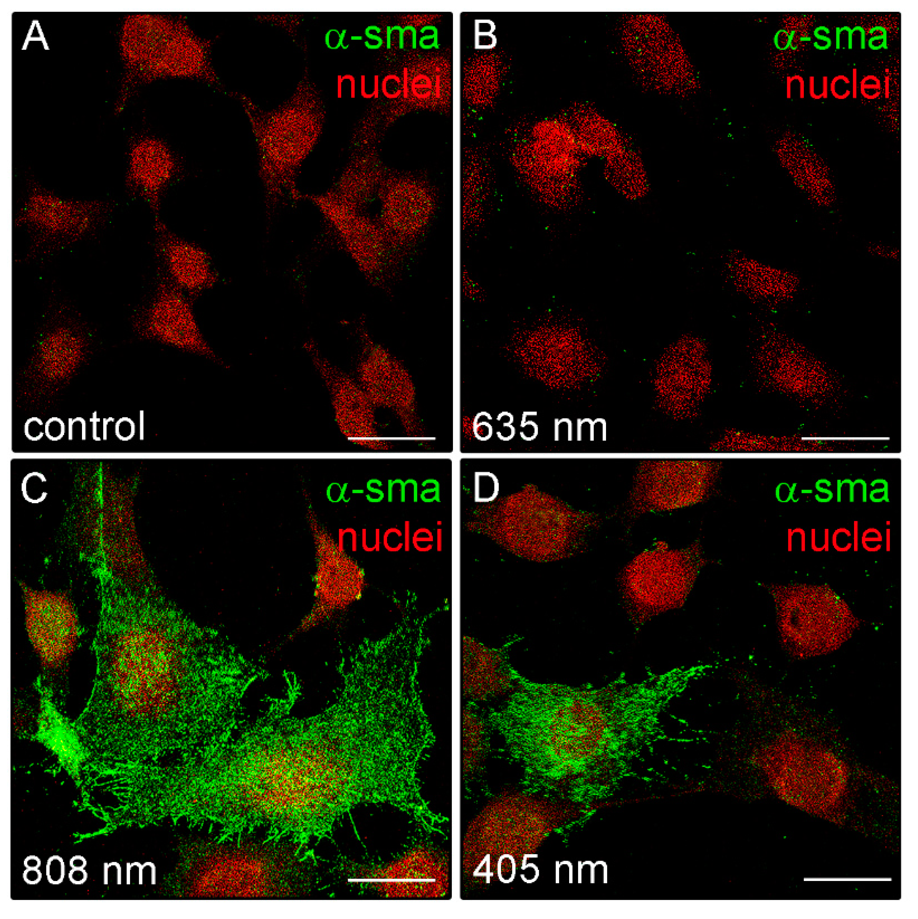 Applsci 10 07878 g008 Applsci 10 07878 g008