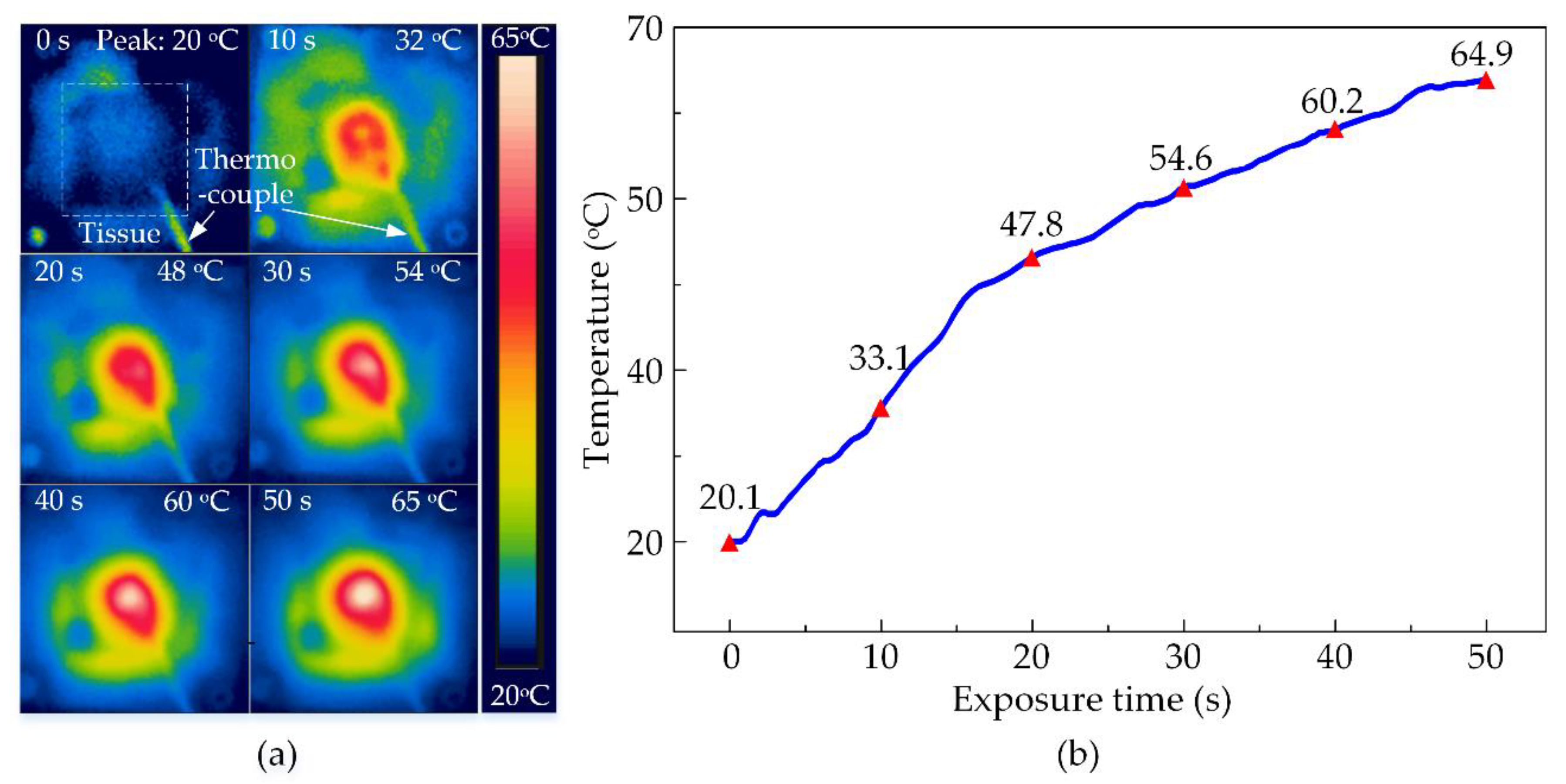 Applsci 10 07888 g007