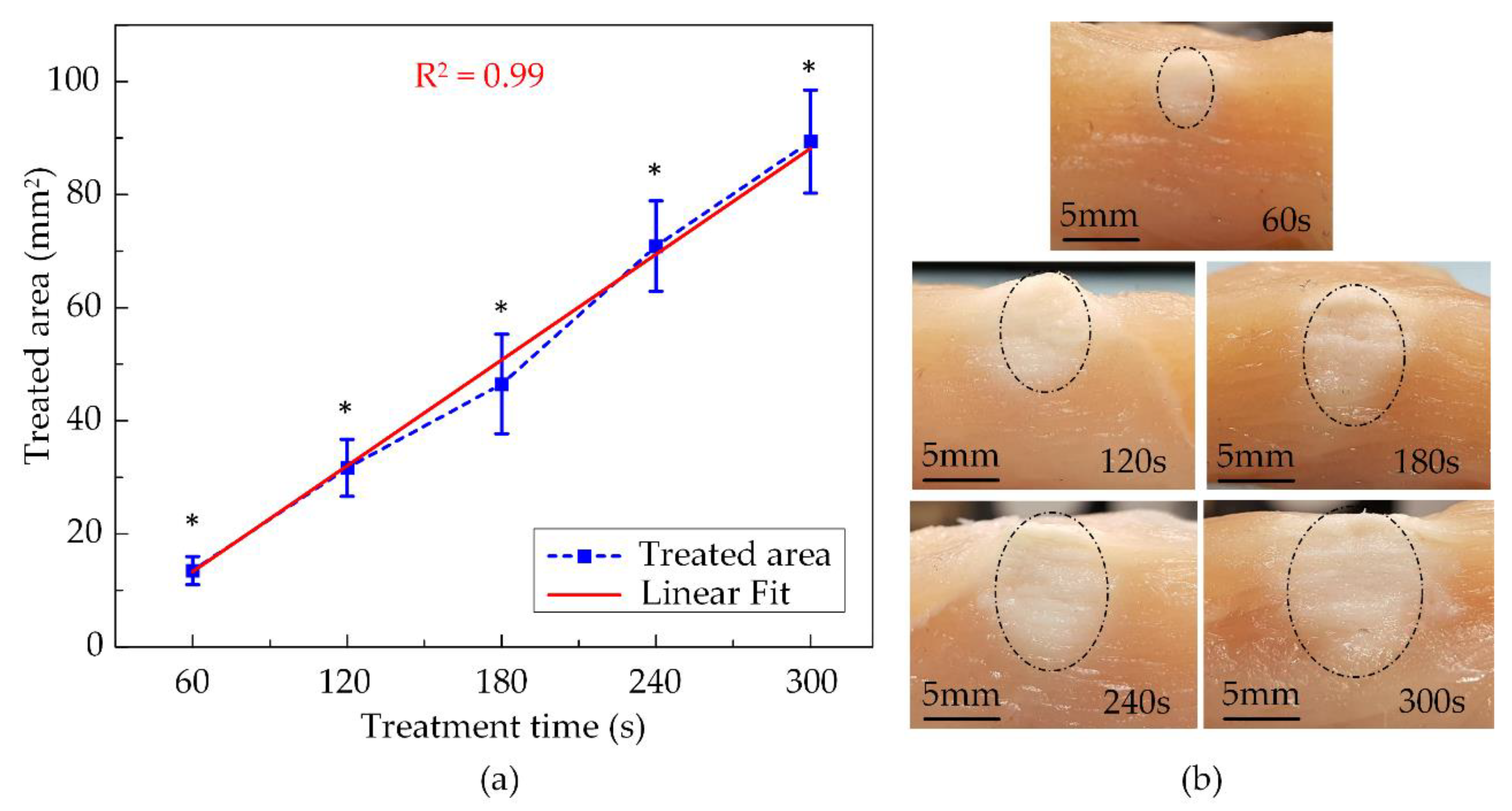 Applsci 10 07888 g009