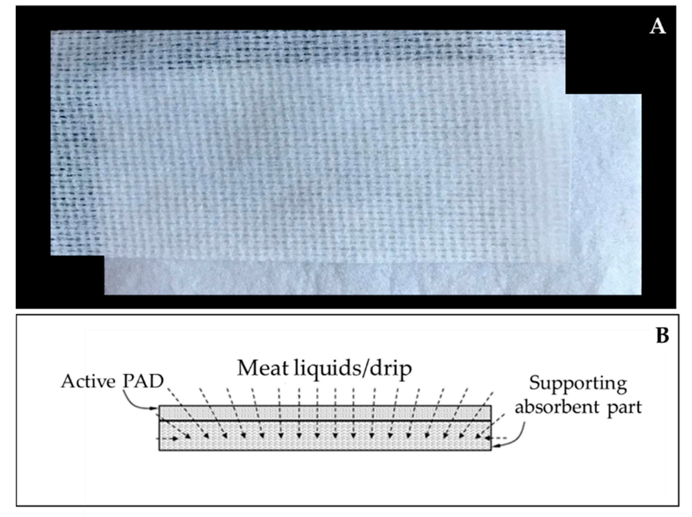 Applsci 10 07904 g002