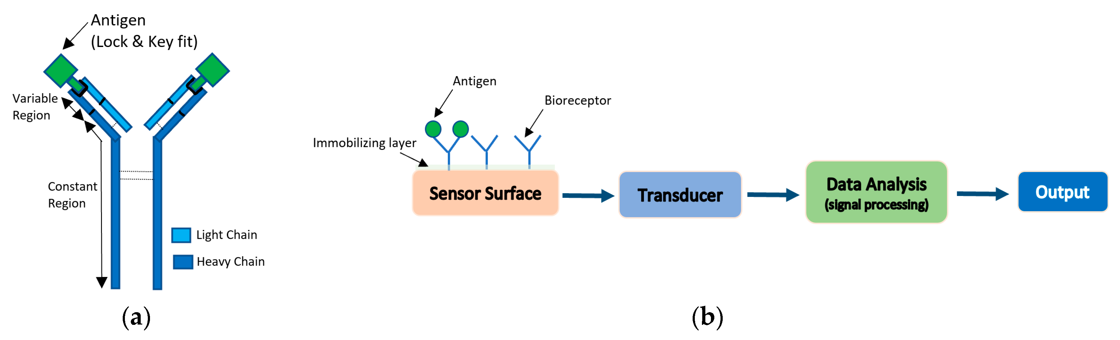 Applsci 10 07937 g008