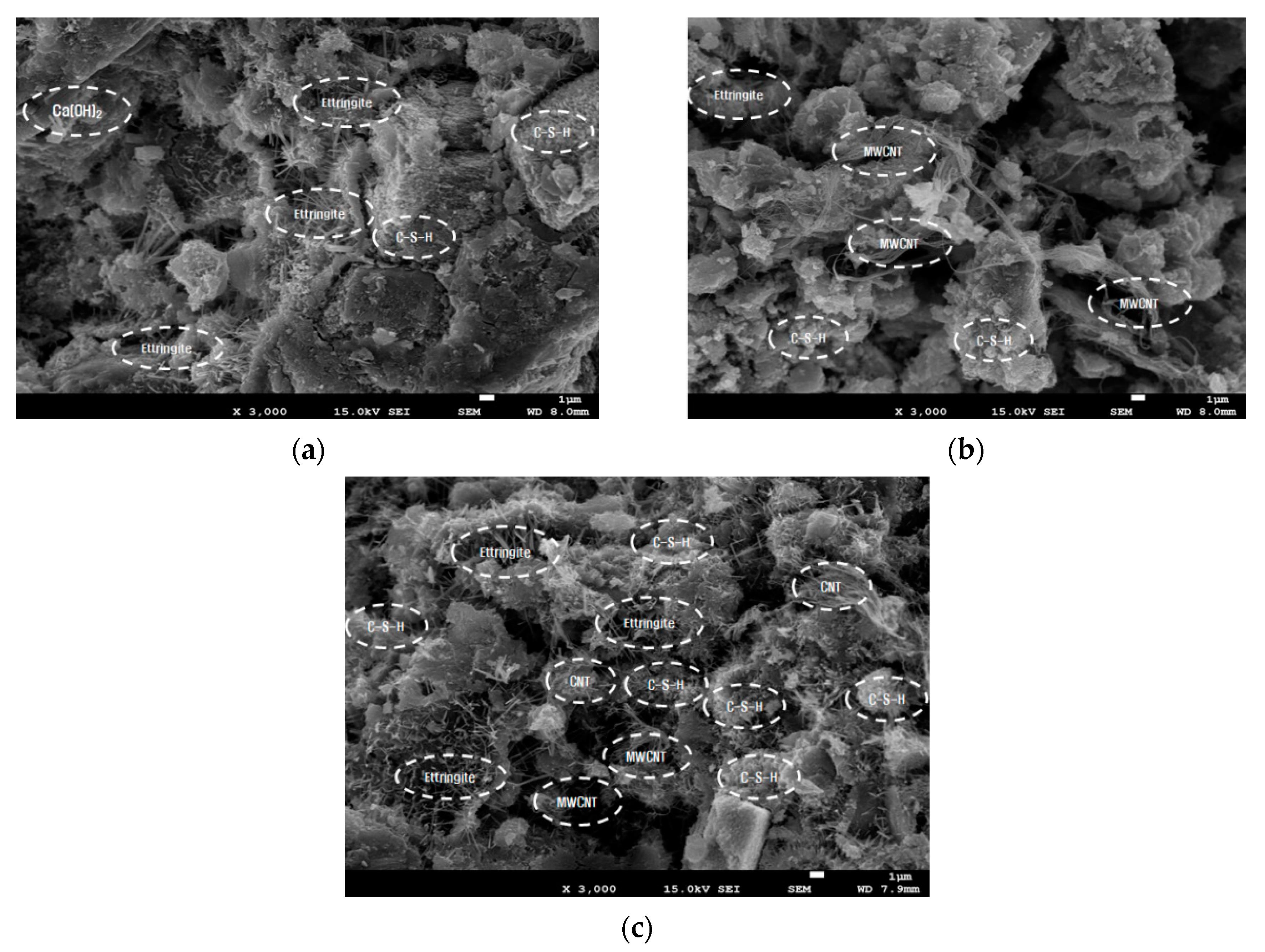 Applsci 10 07948 g012