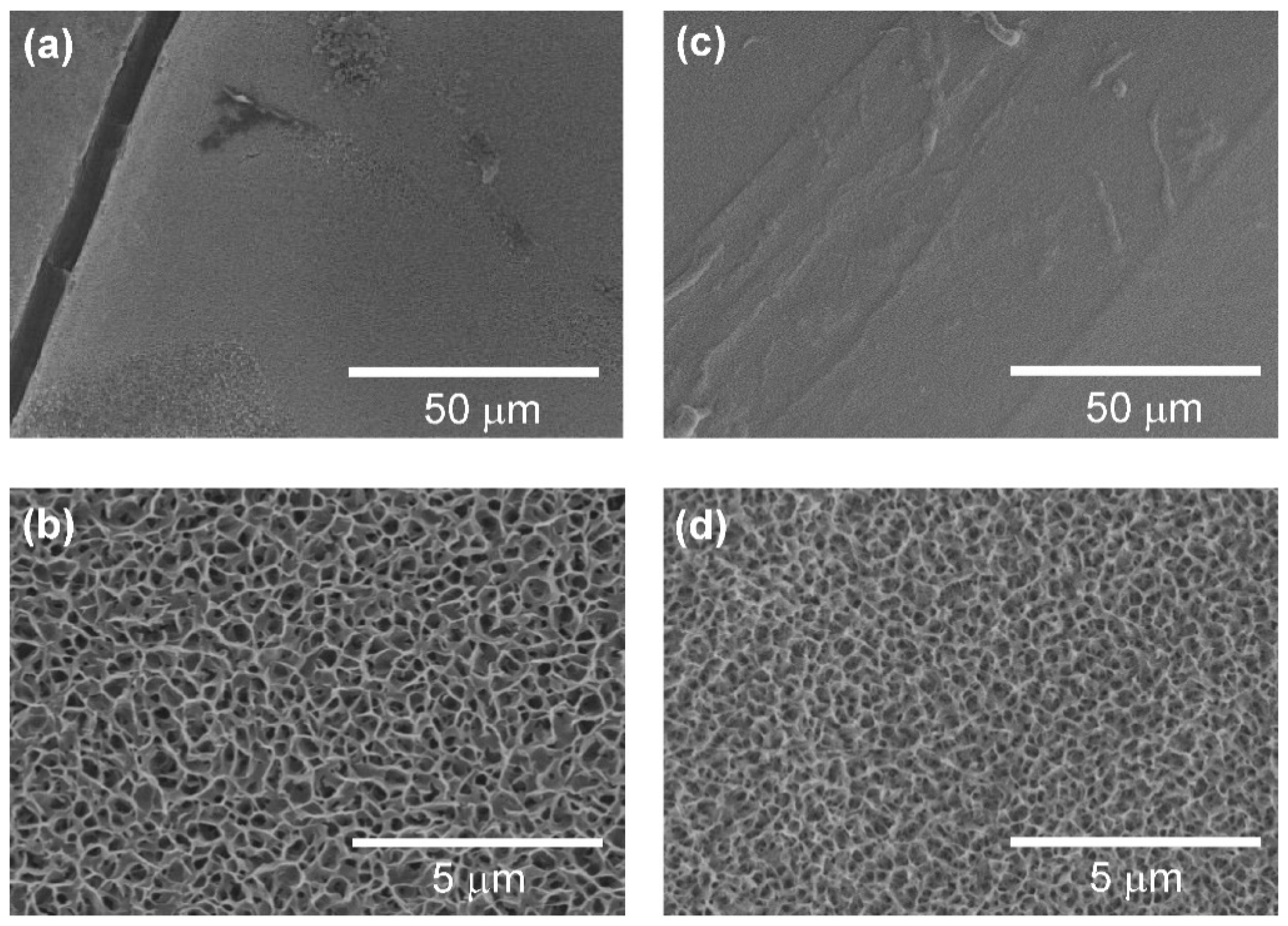 Applsci 10 07984 g002