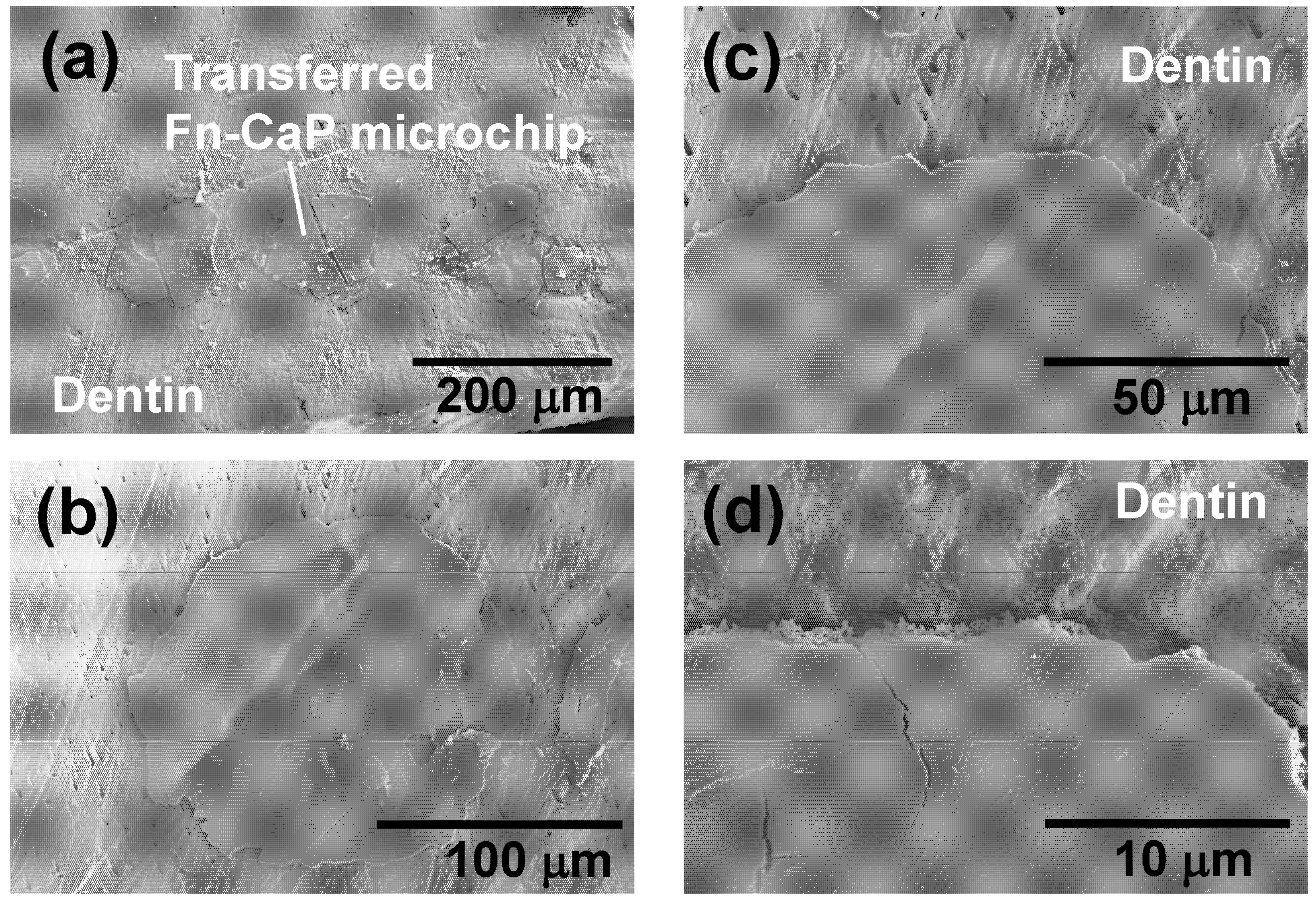 Applsci 10 07984 g006