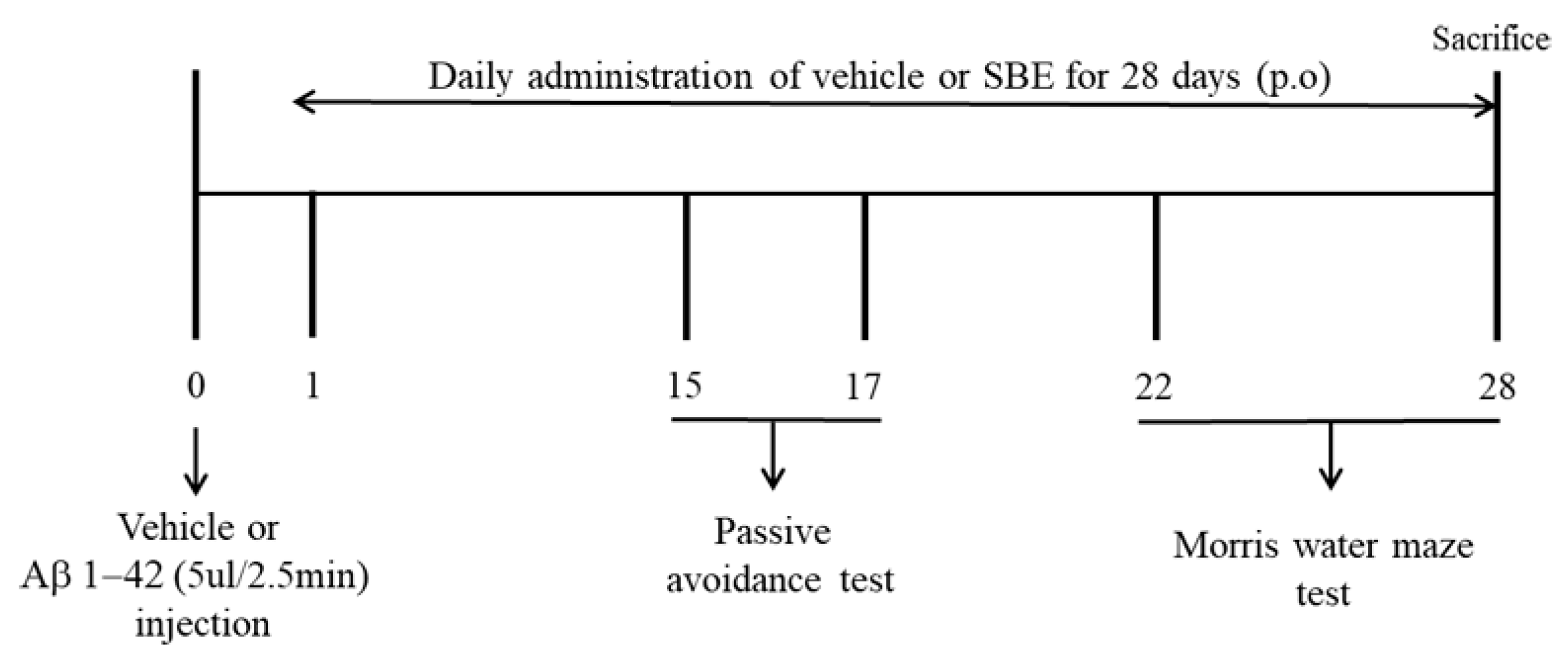 Applsci 10 07987 g001