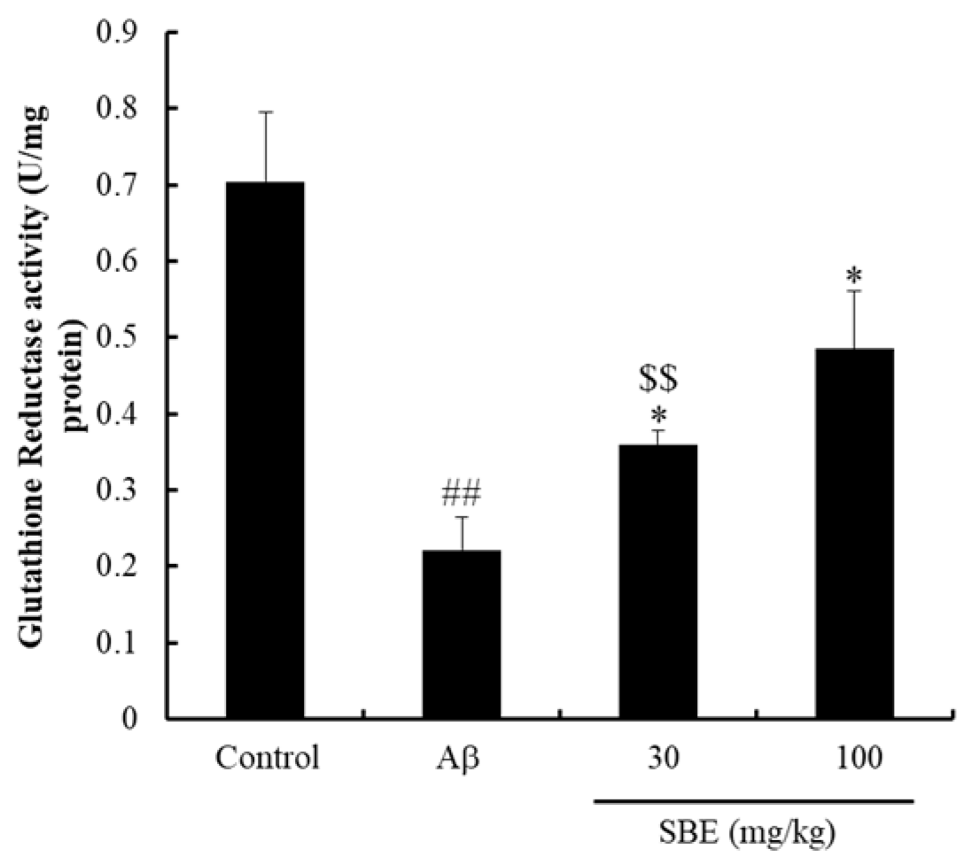Applsci 10 07987 g004