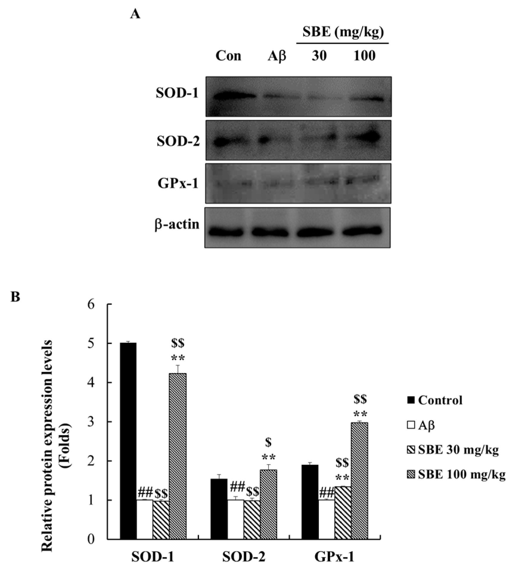 Applsci 10 07987 g005