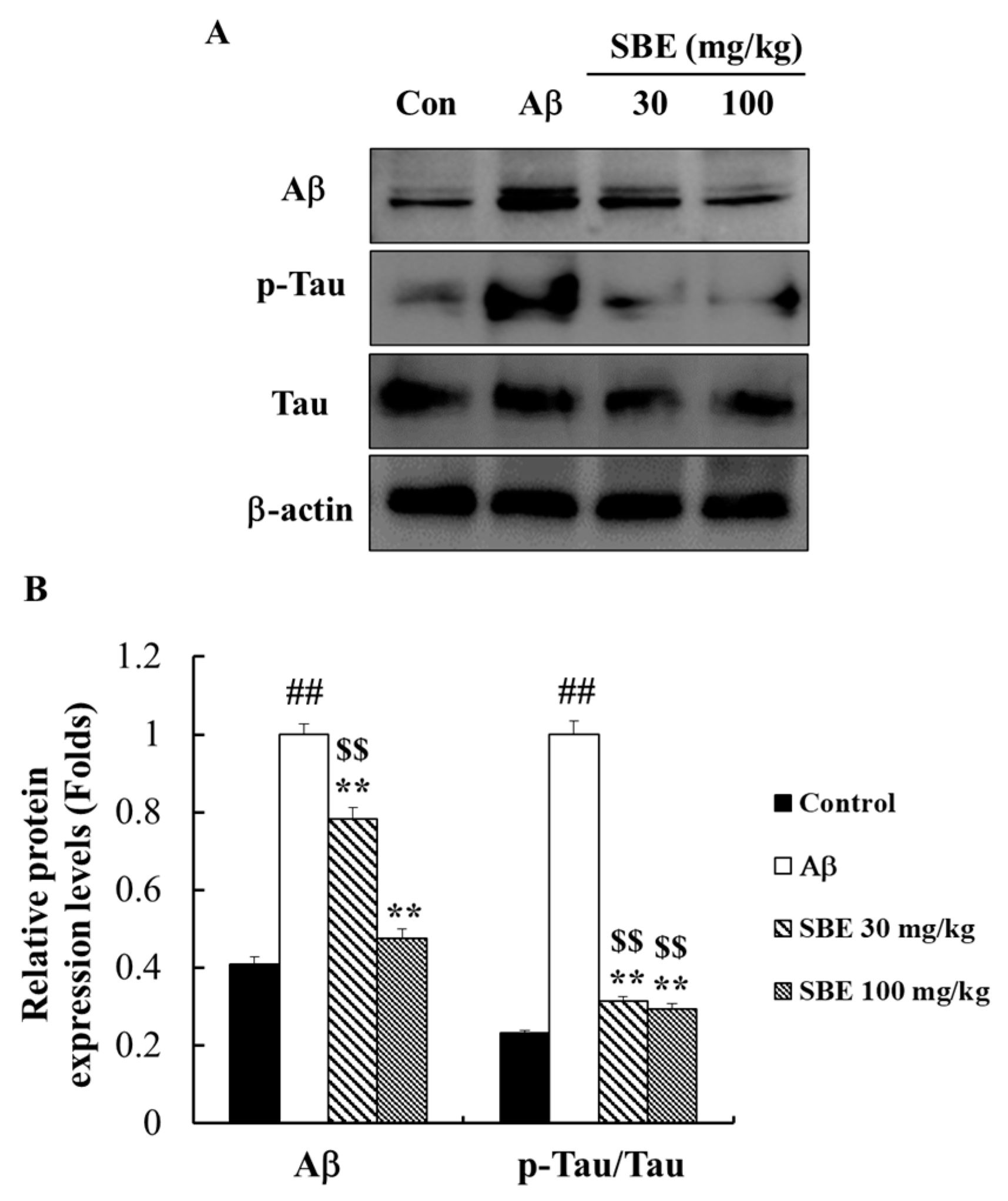 Applsci 10 07987 g007