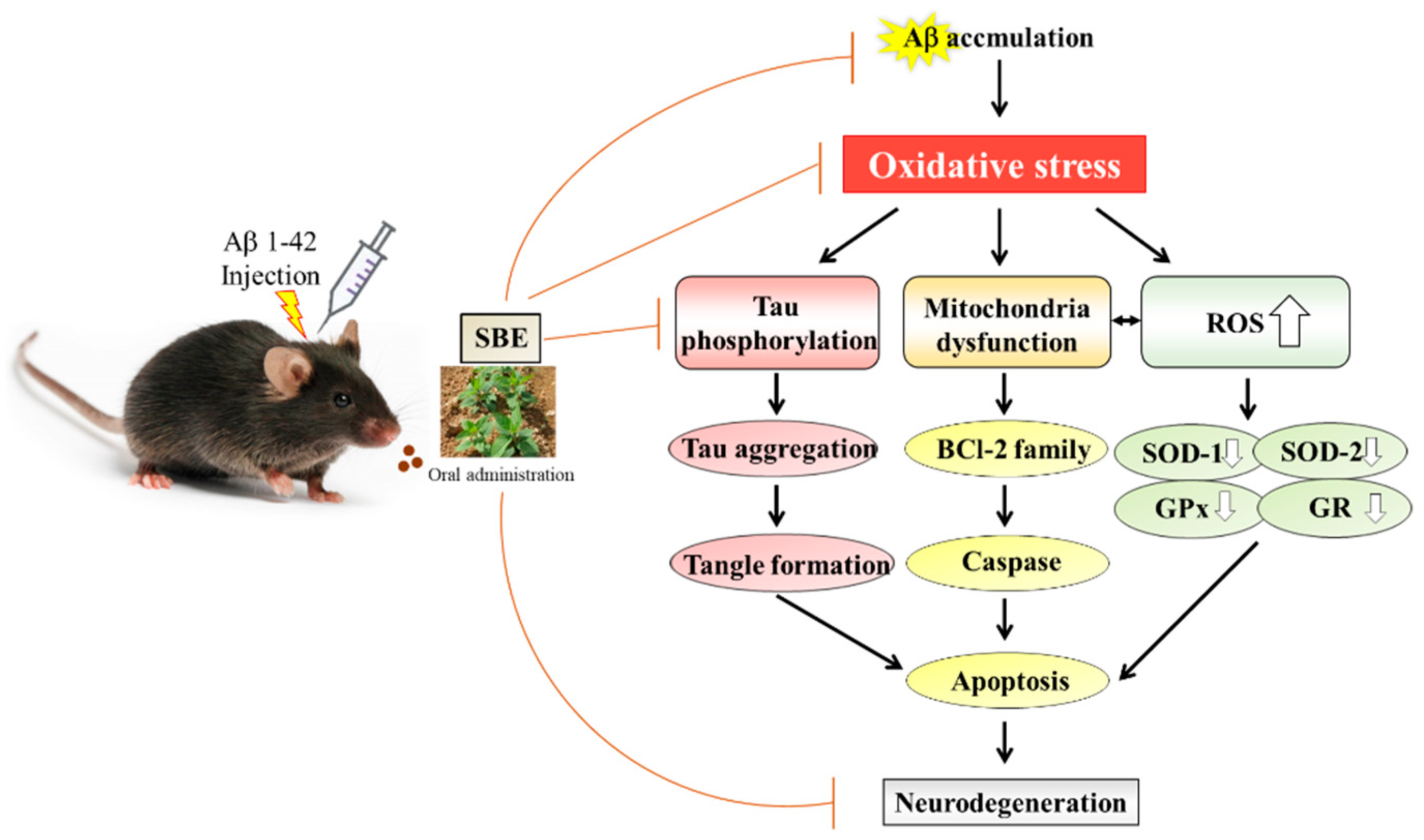 Applsci 10 07987 g008
