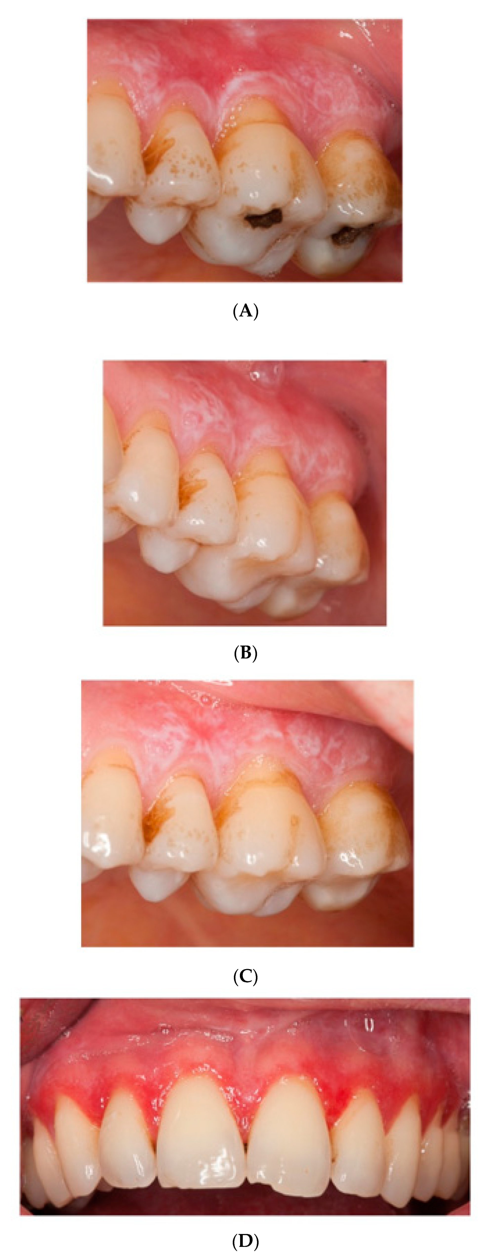 Applsci 10 07988 g002a