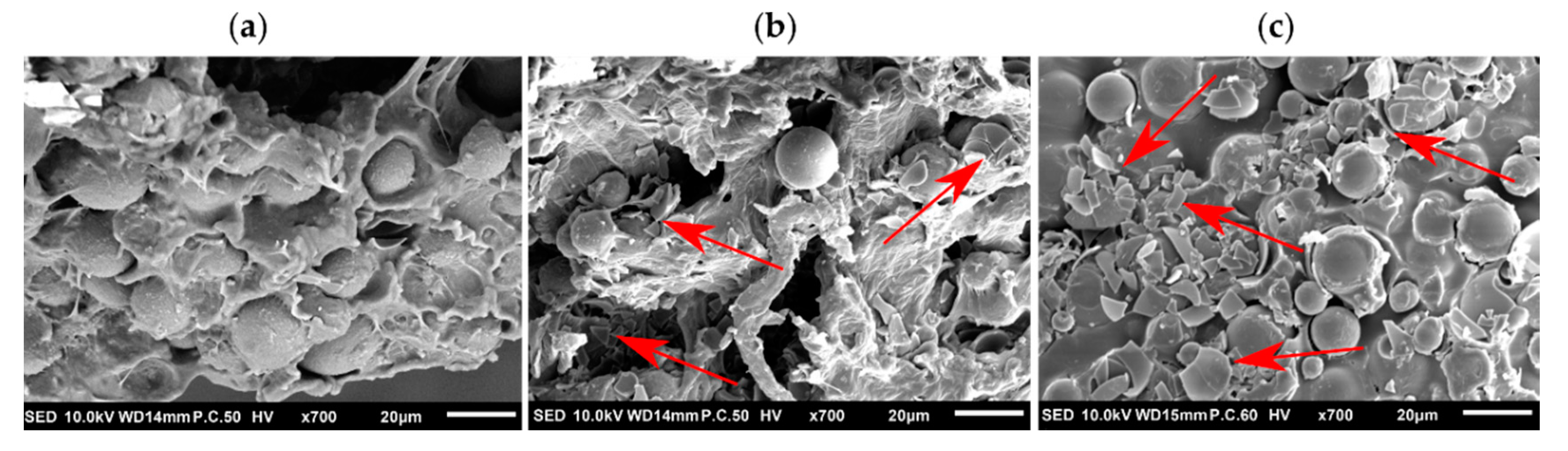 Applsci 10 07993 g014 Applsci 10 07993 g014