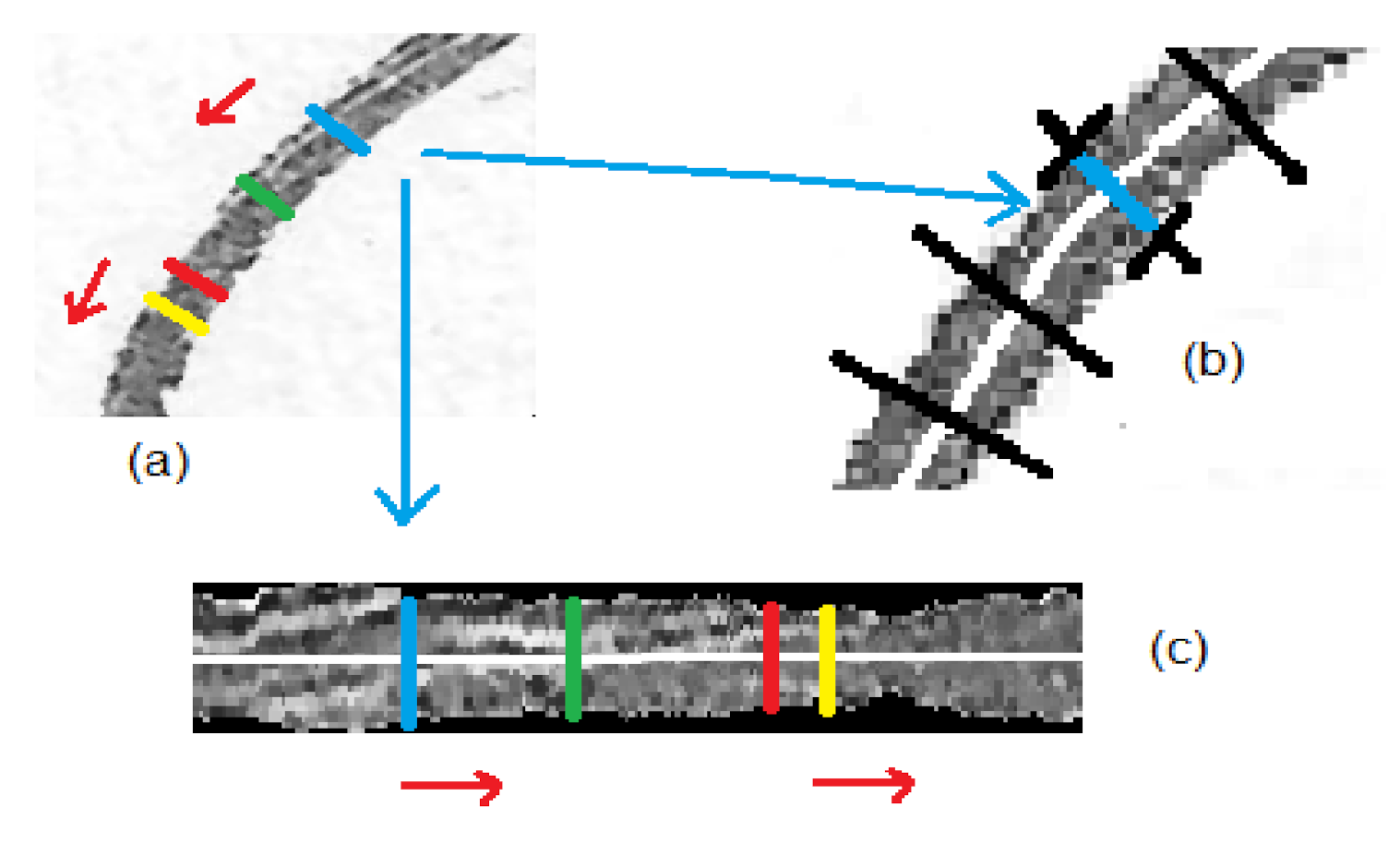 Applsci 10 07999 g005 Applsci 10 07999 g005
