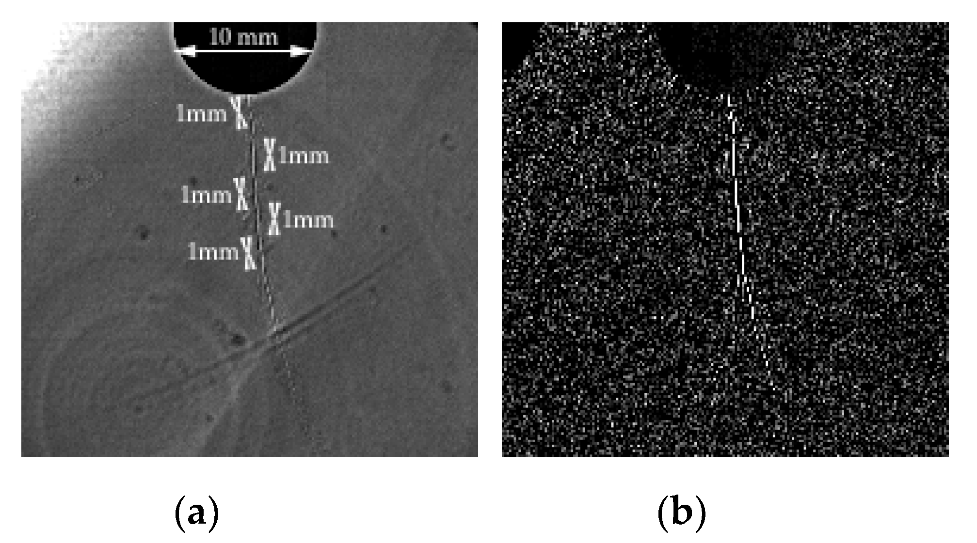 Applsci 10 08006 g009 Applsci 10 08006 g009