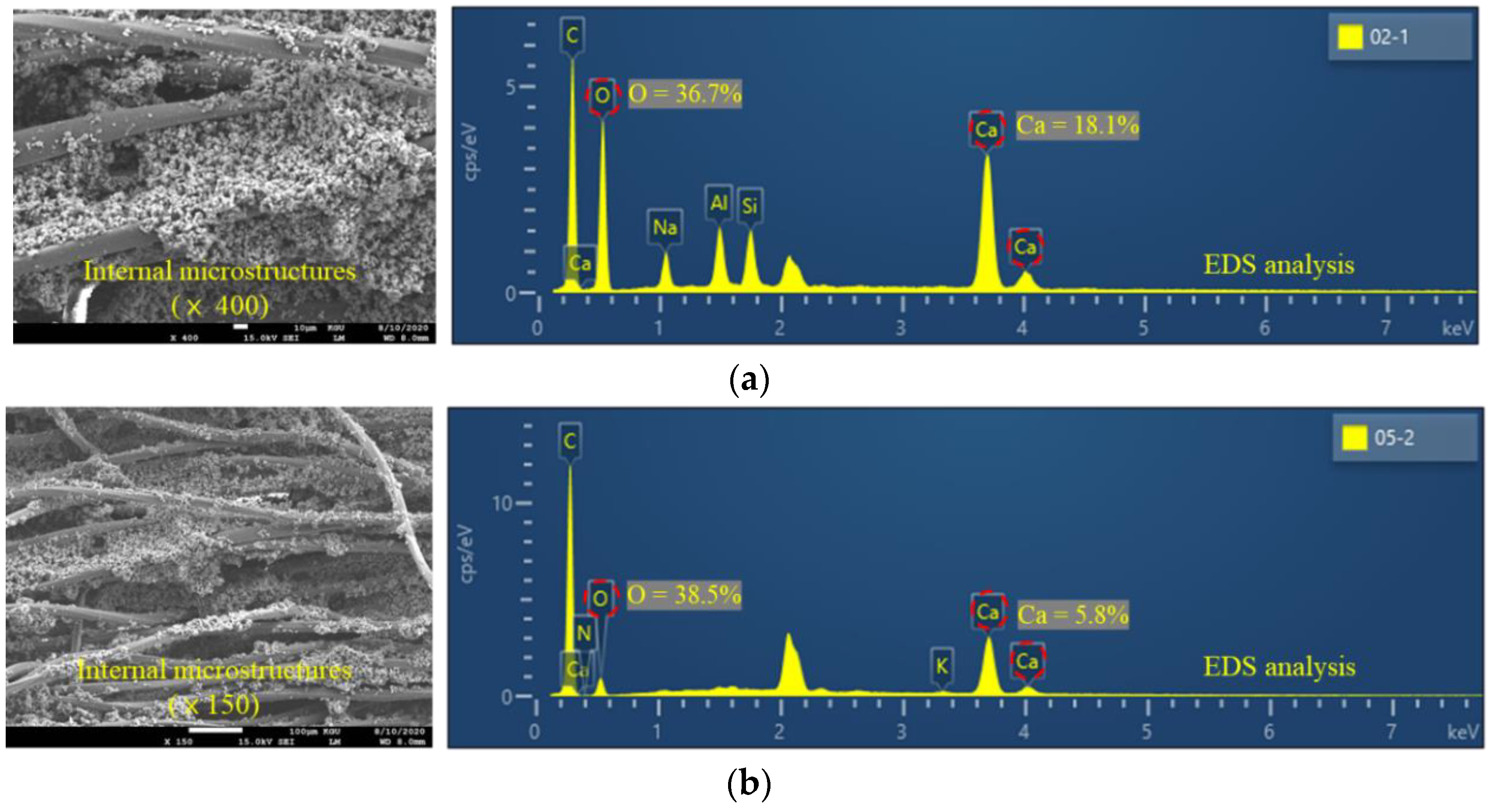 Applsci 10 08010 g010