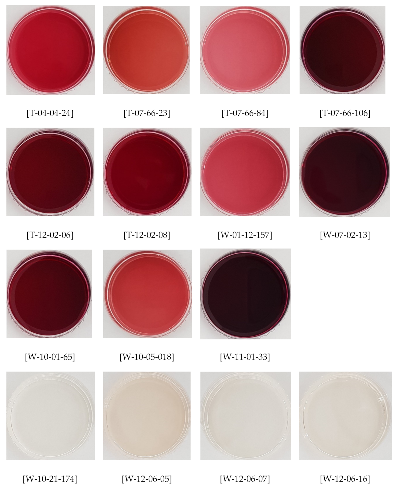Applsci 10 08020 g001 Applsci 10 08020 g001