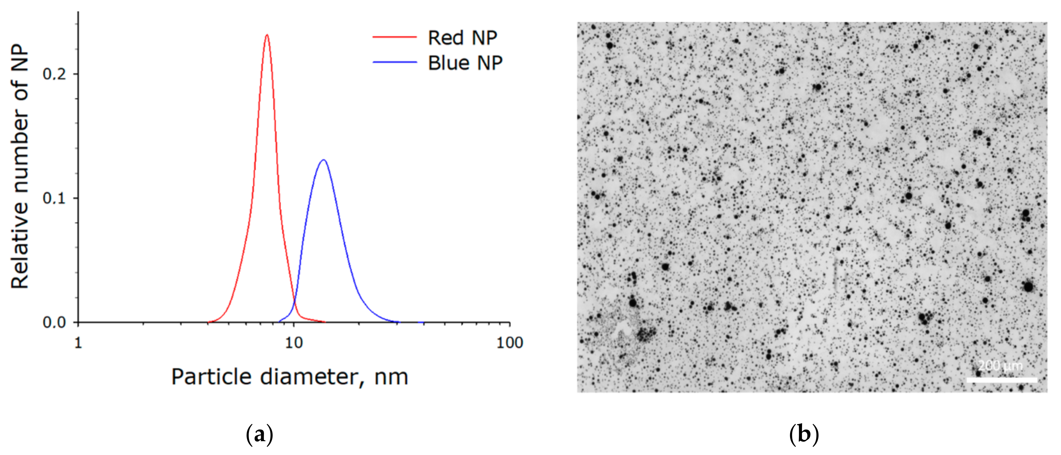 Applsci 10 08025 g001