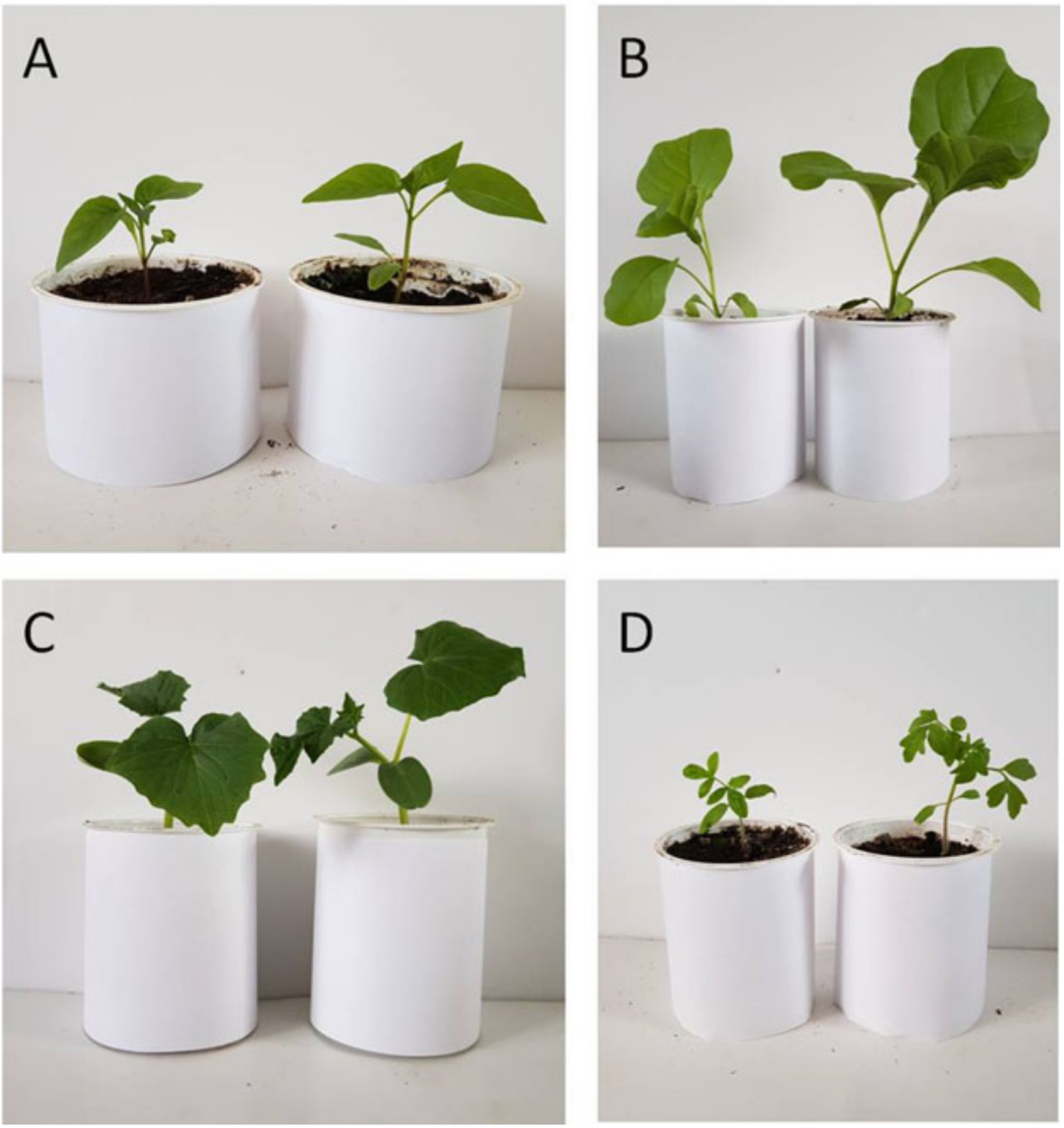 Applsci 10 08025 g003