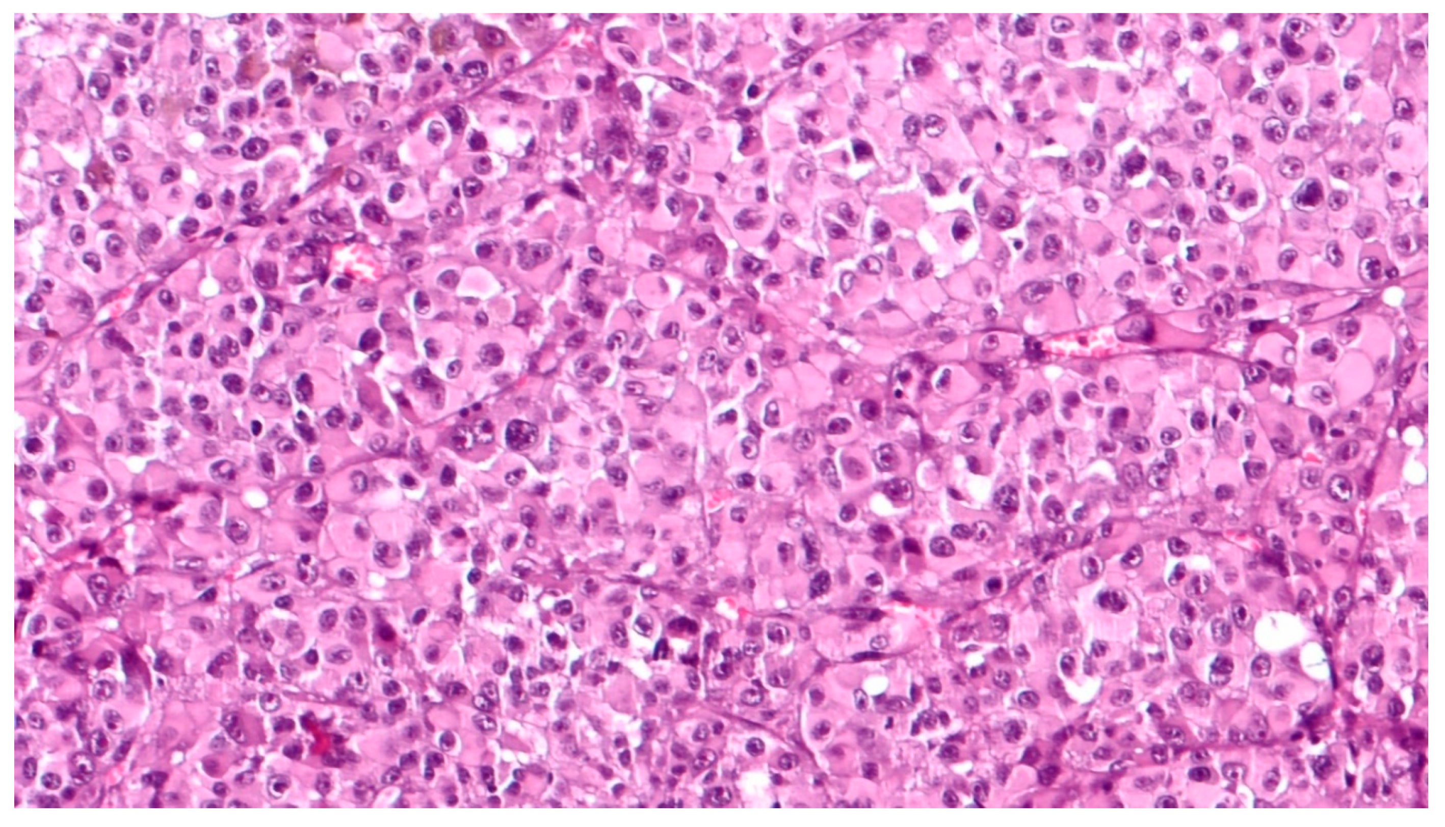 Applsci 10 08081 g003 Applsci 10 08081 g003