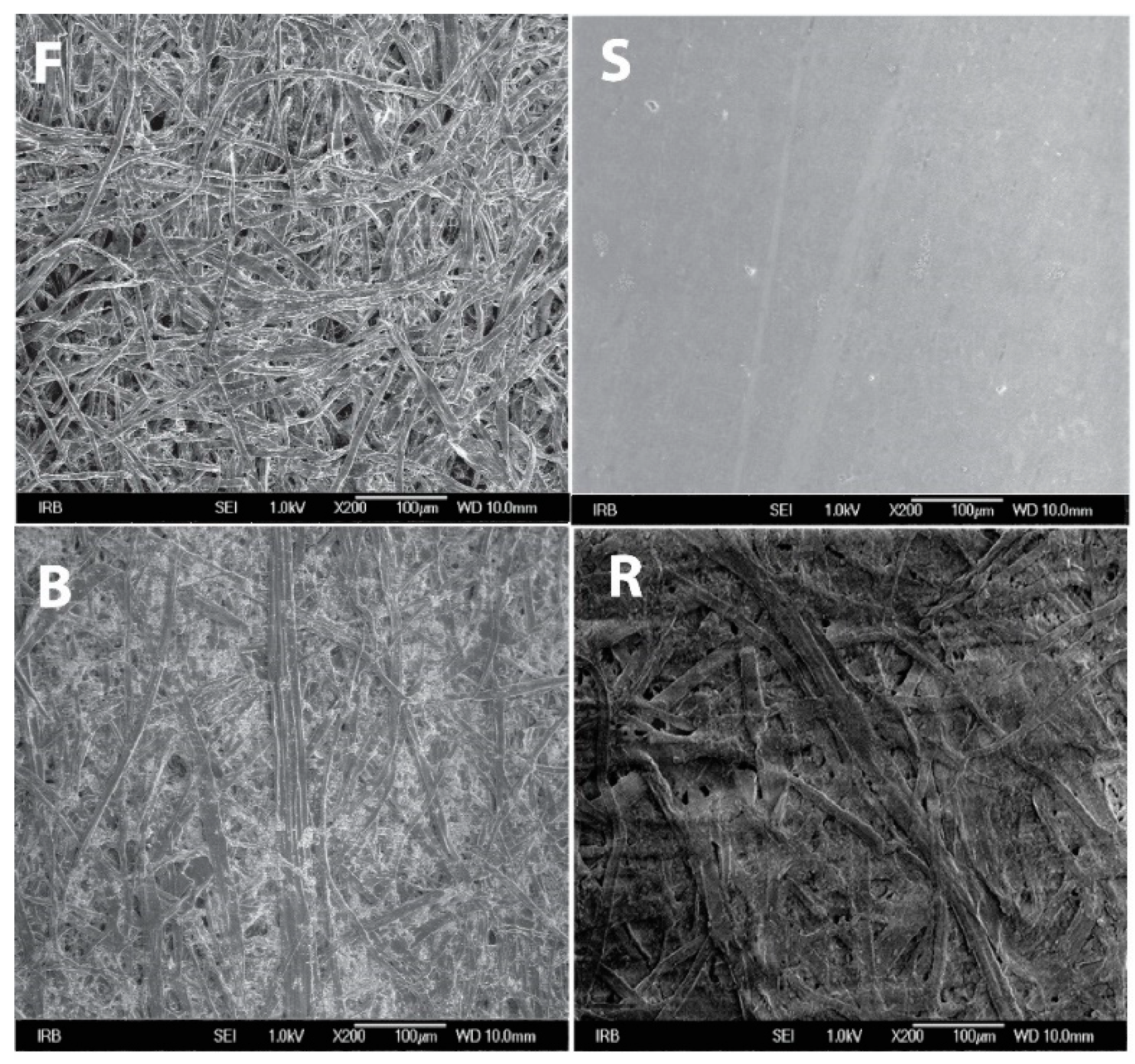 Applsci 10 08095 g002