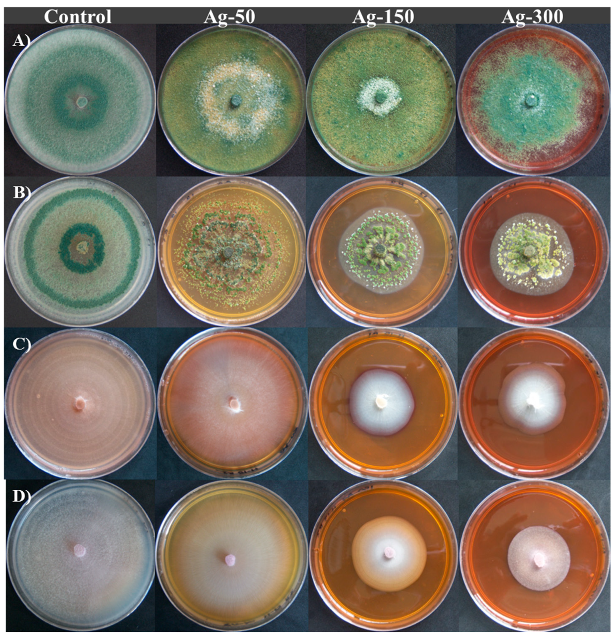 Applsci 10 08096 g006