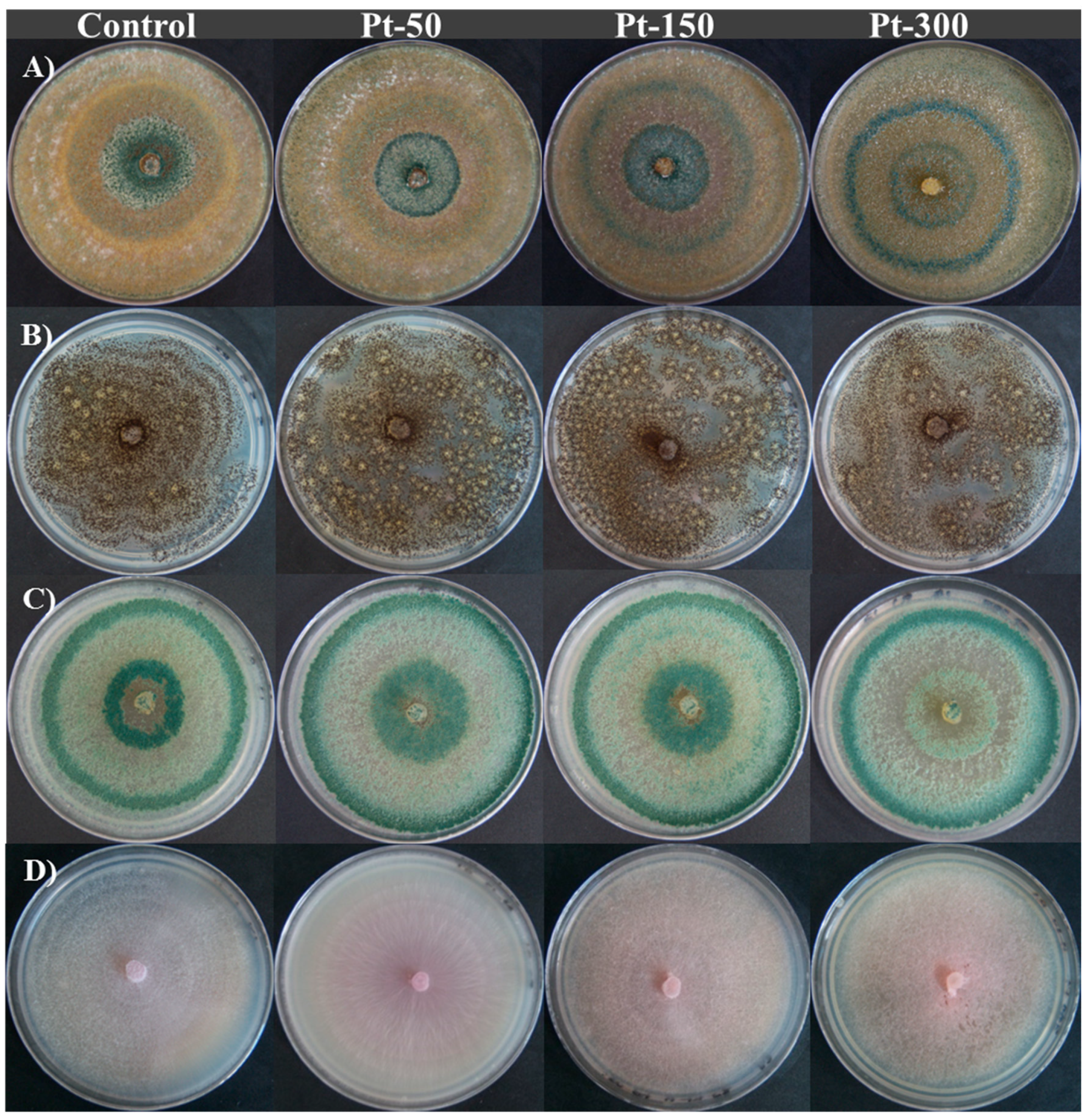 Applsci 10 08096 g009