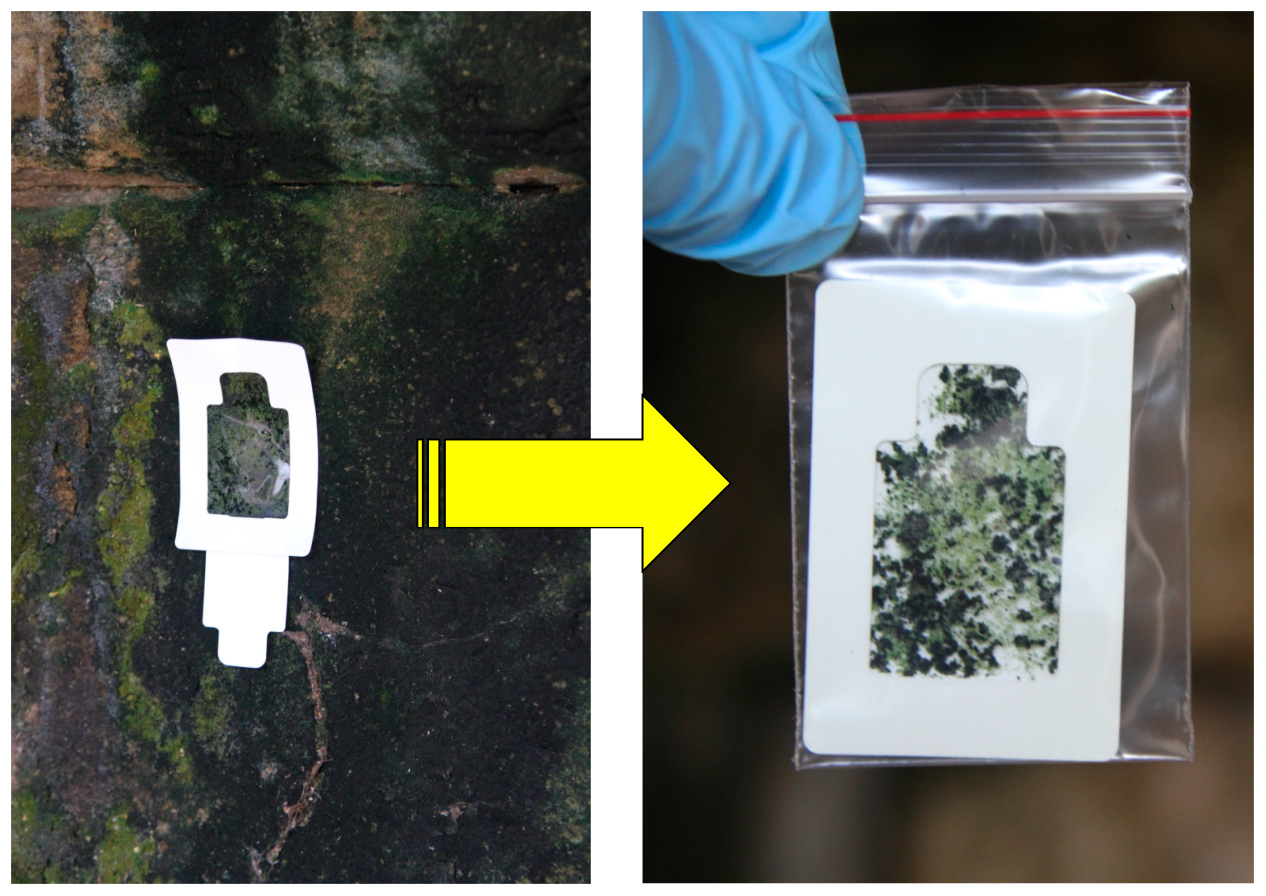 Applsci 10 08099 g003