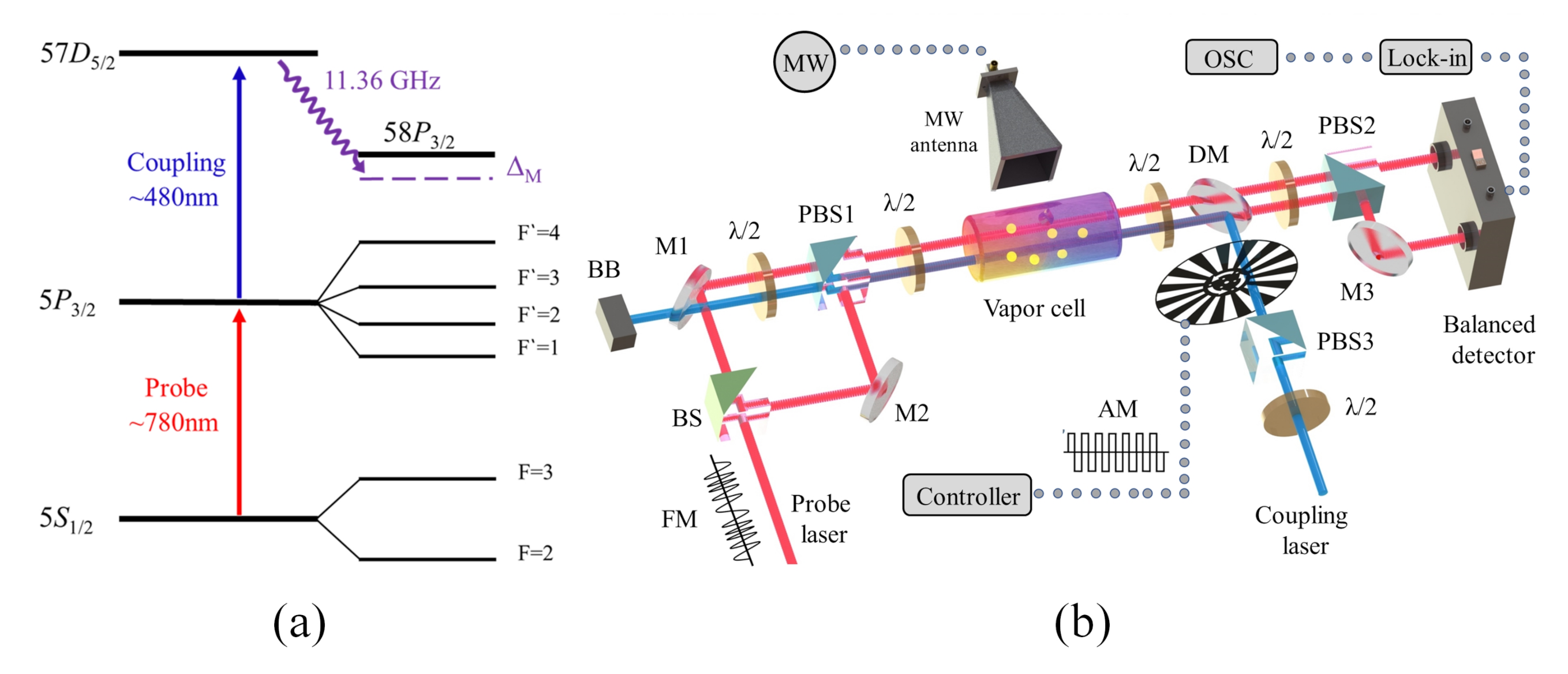 Applsci 10 08110 g001