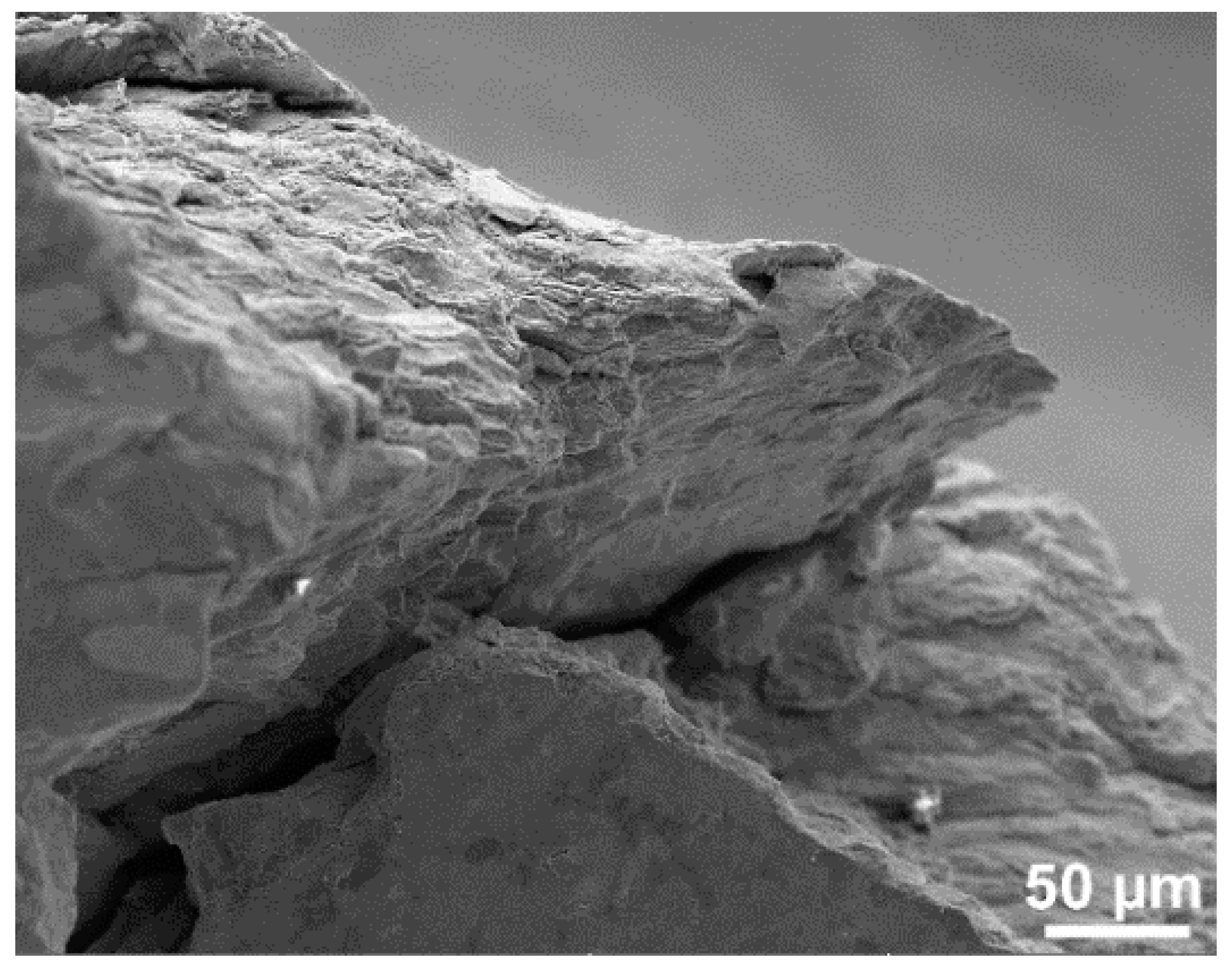 Applsci 10 08125 g009