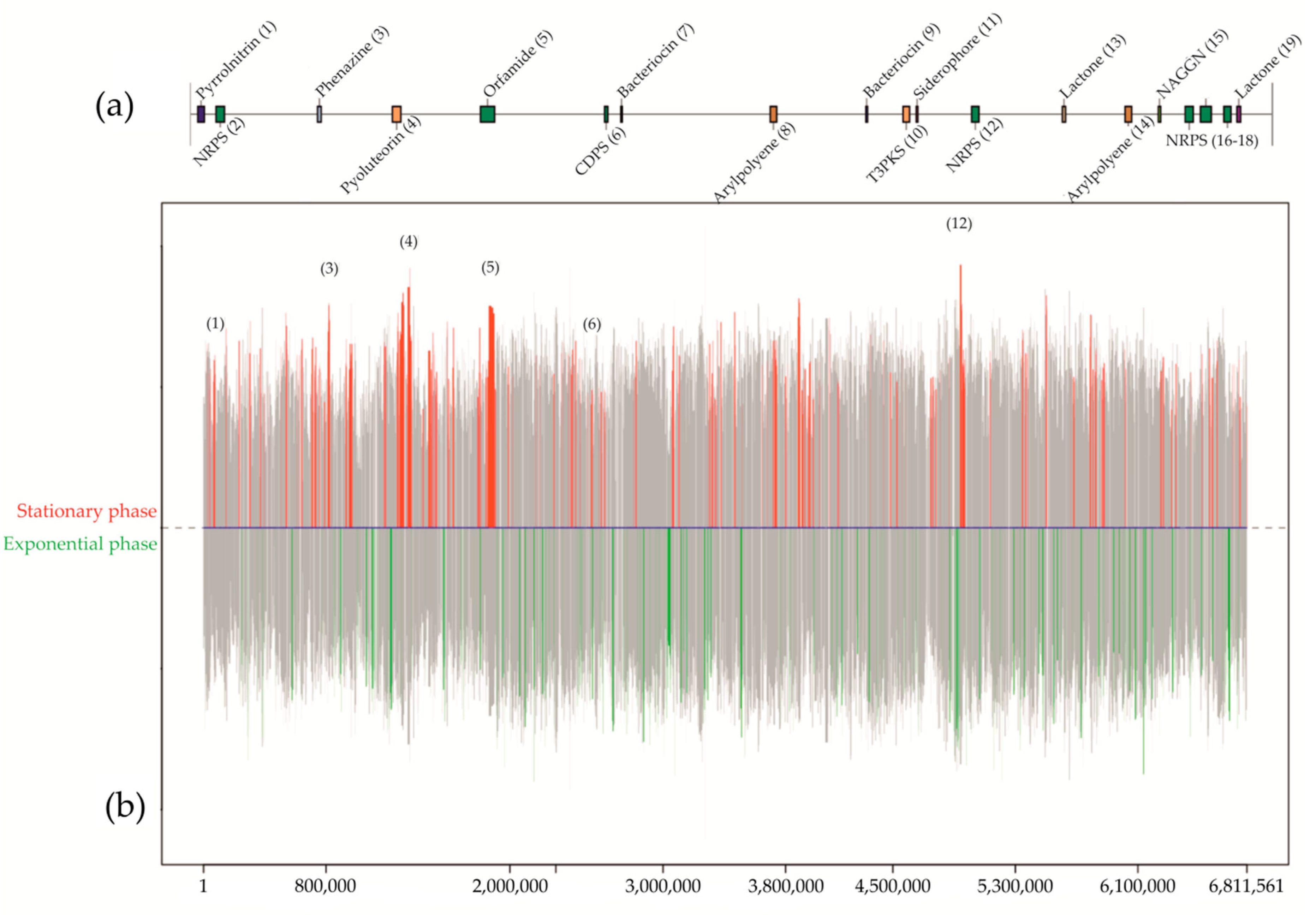 Applsci 10 08130 g003