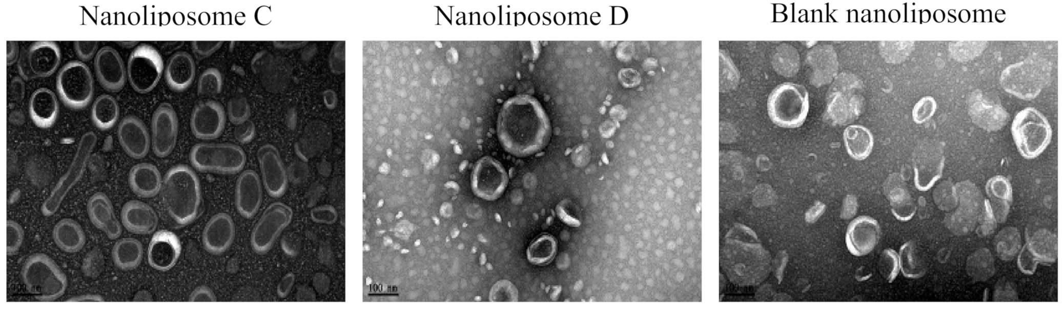 Applsci 10 08148 g001