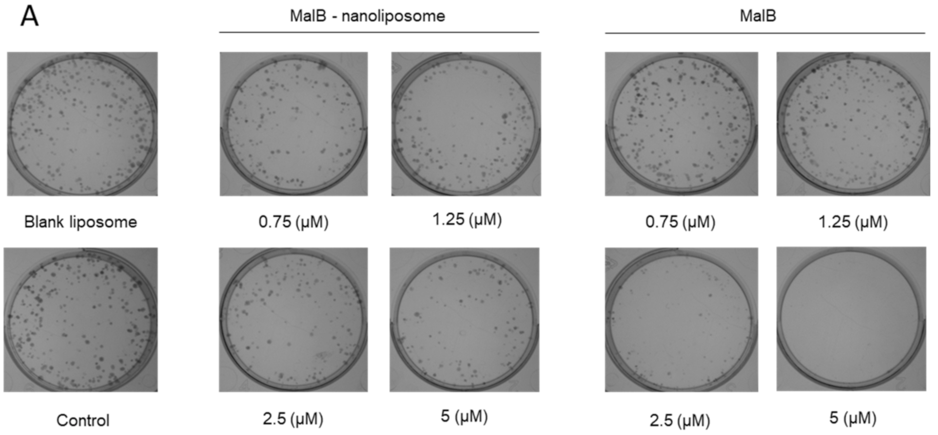 Applsci 10 08148 g003a