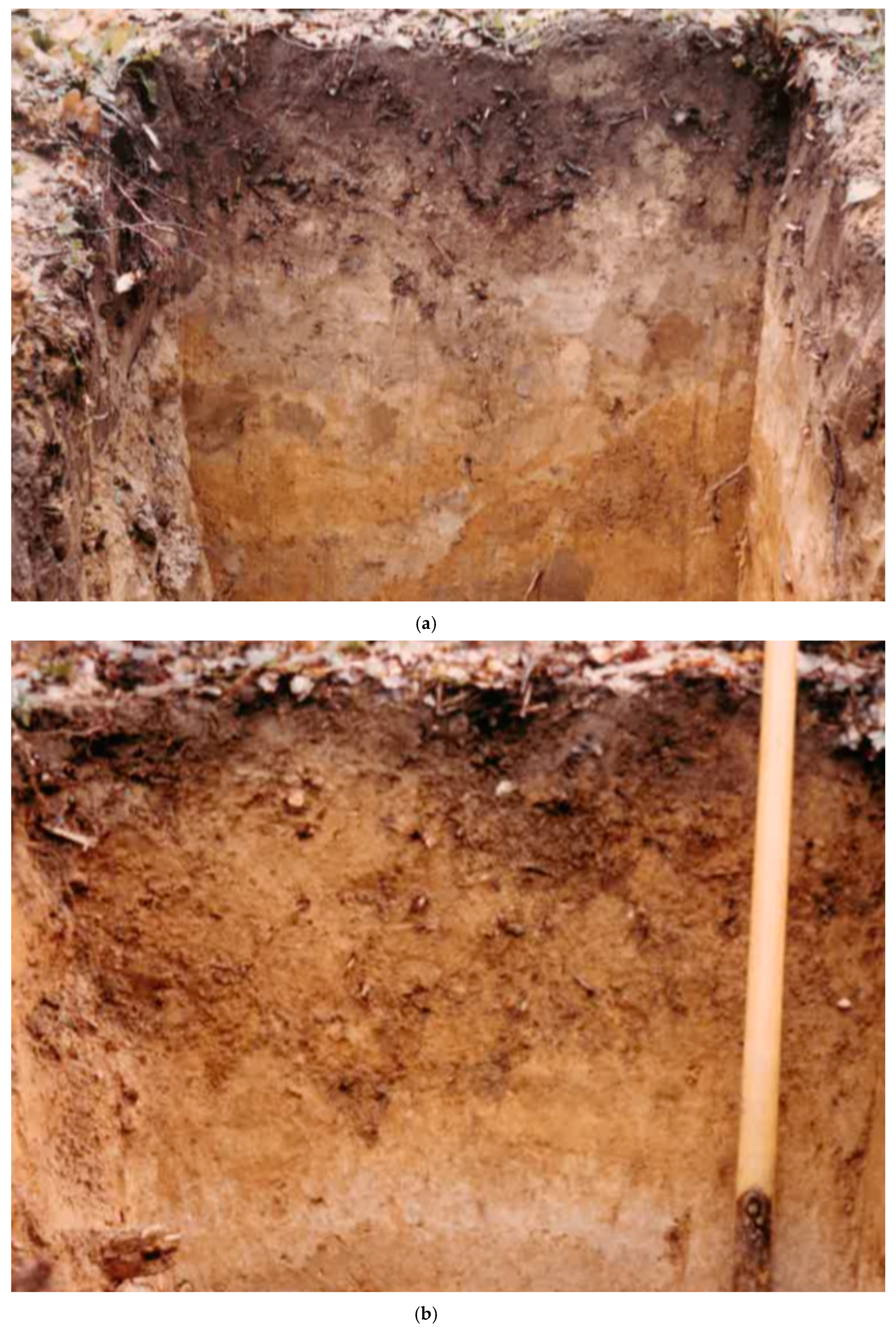 Applsci 10 08202 g002a