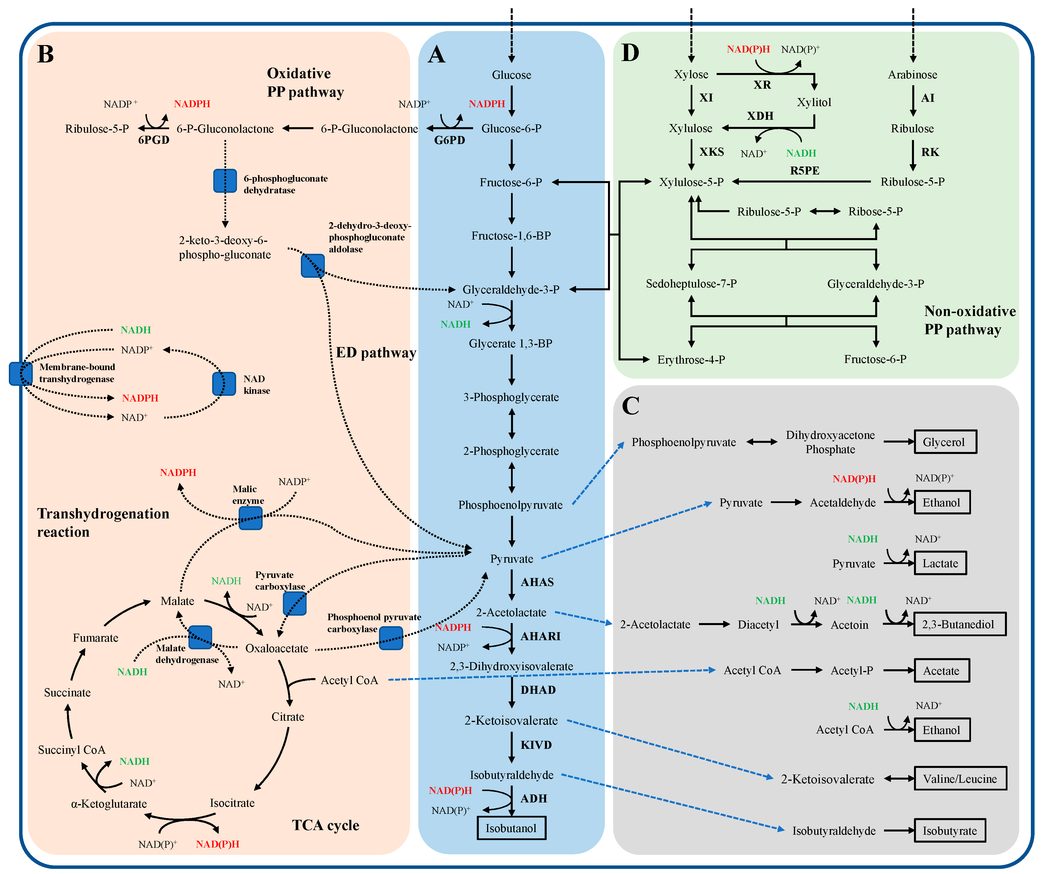 Applsci 10 08222 g001