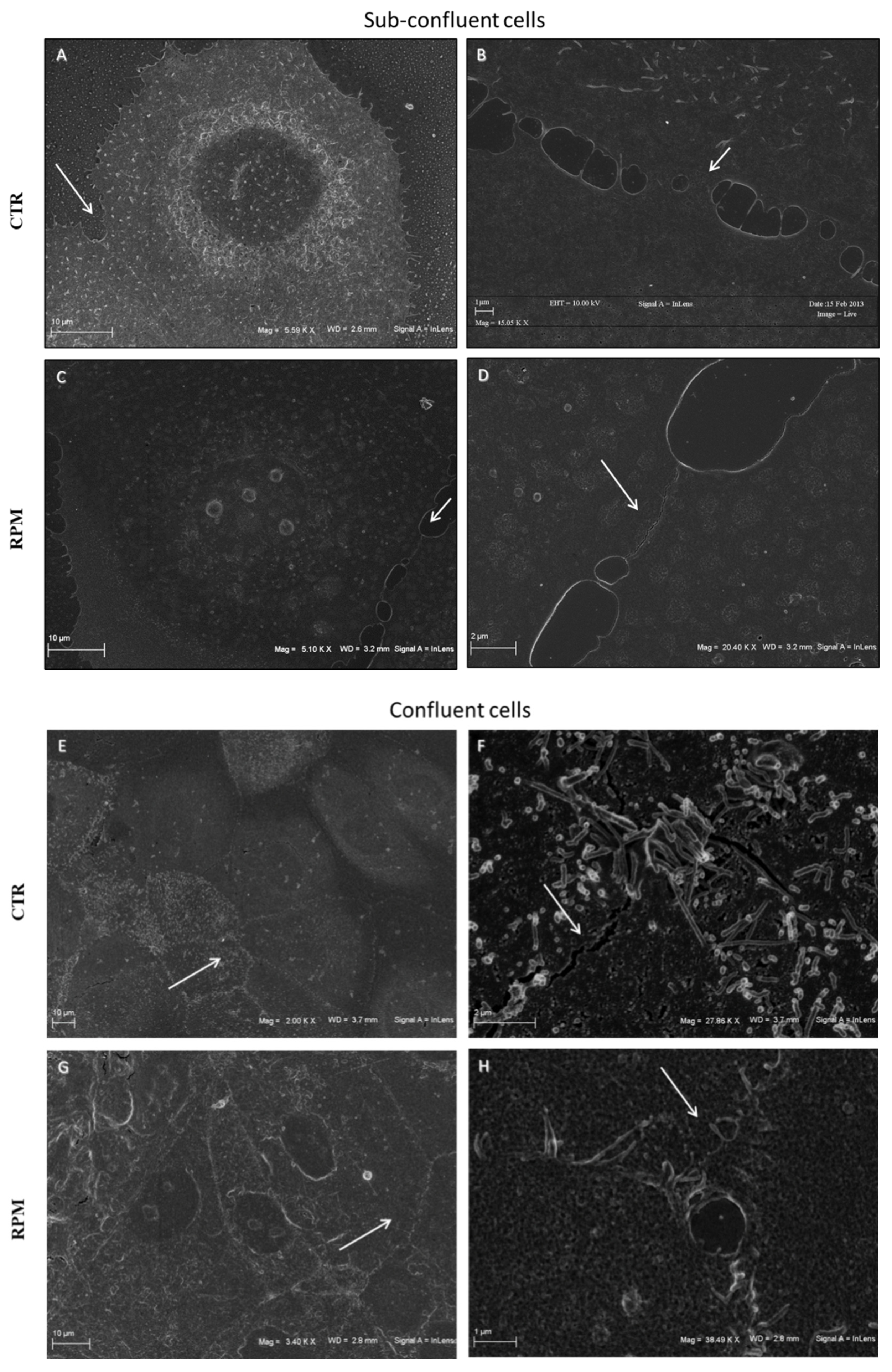 Applsci 10 08289 g001 Applsci 10 08289 g001