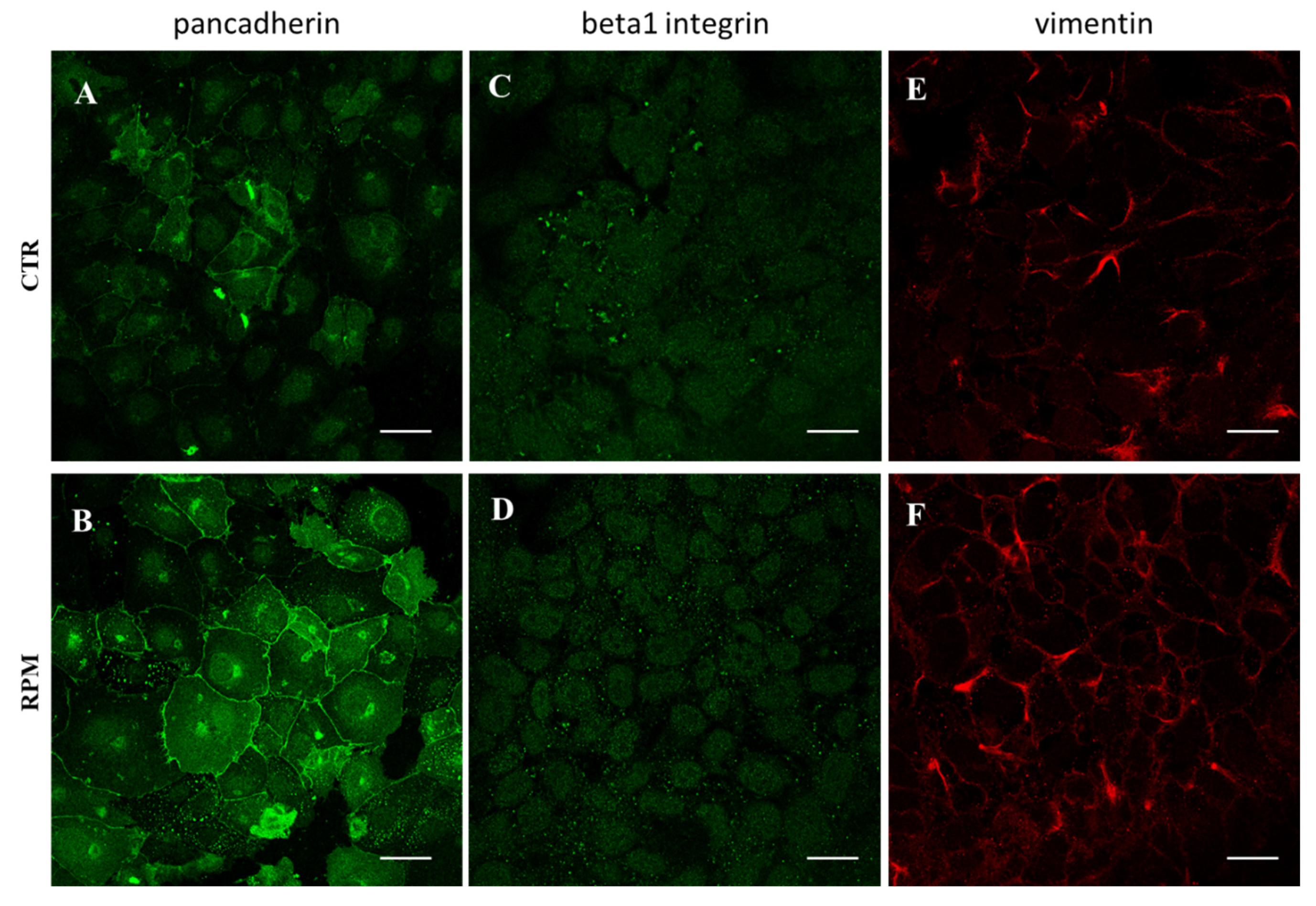 Applsci 10 08289 g003 Applsci 10 08289 g003