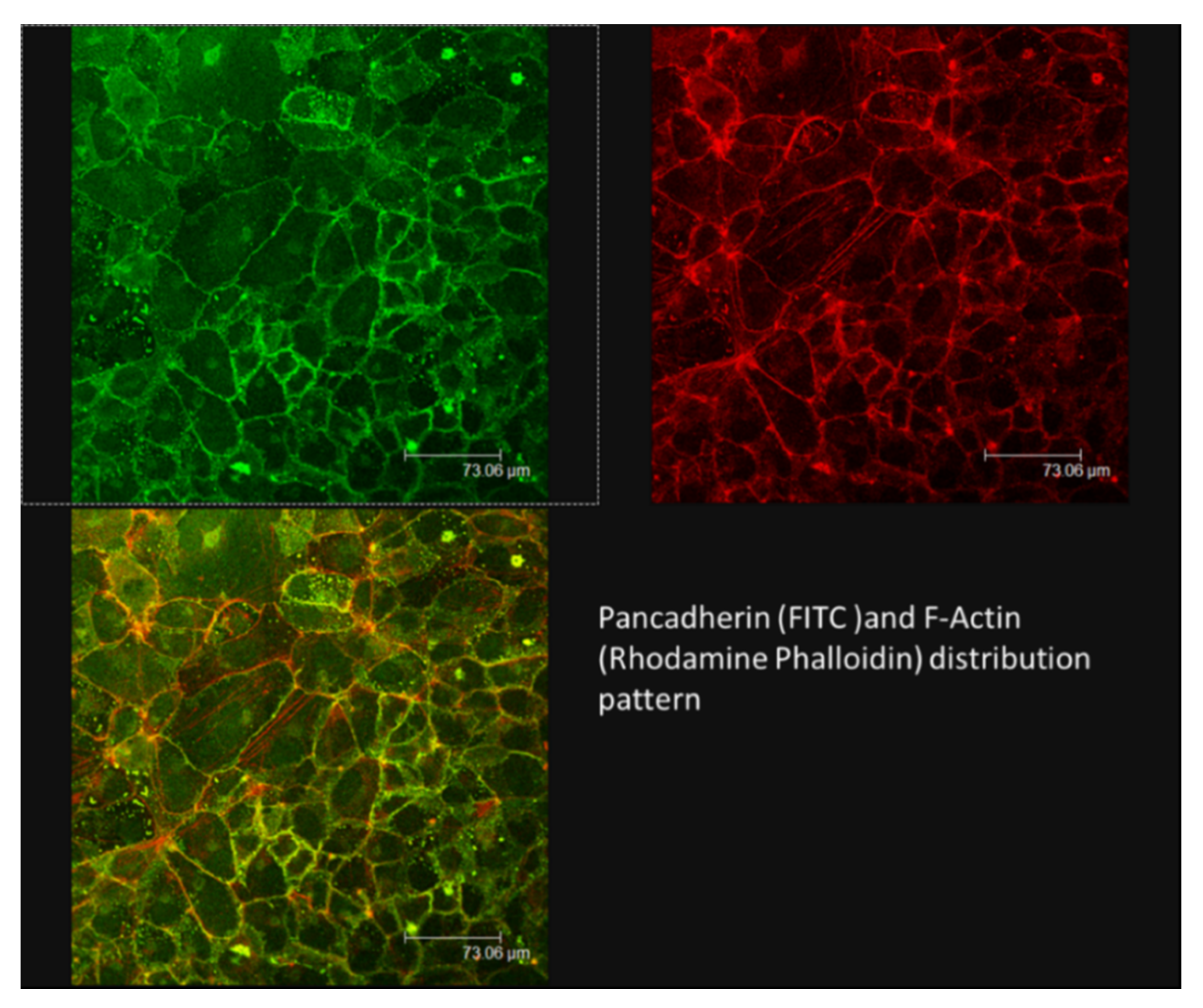 Applsci 10 08289 g004 Applsci 10 08289 g004