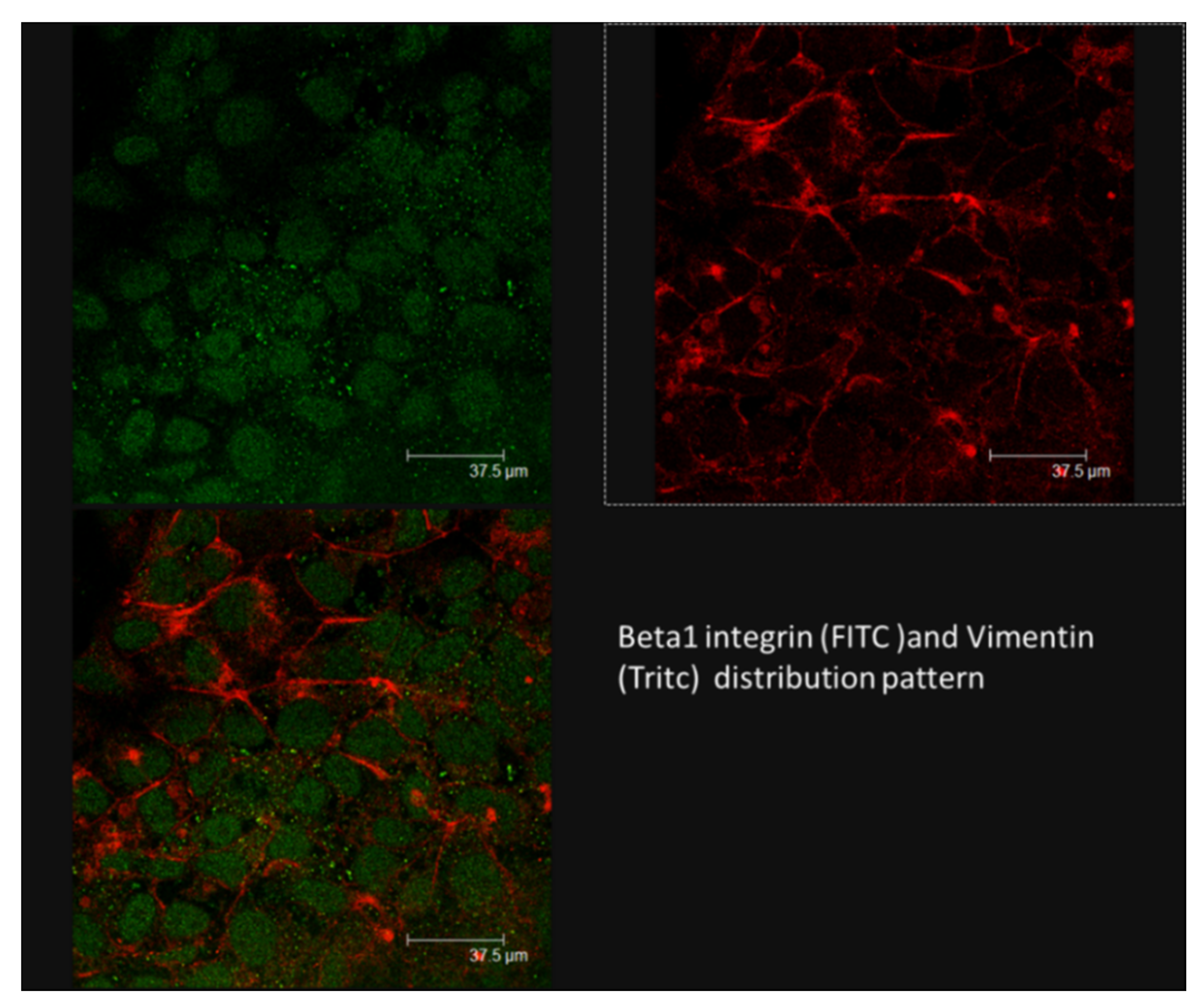 Applsci 10 08289 g005 Applsci 10 08289 g005