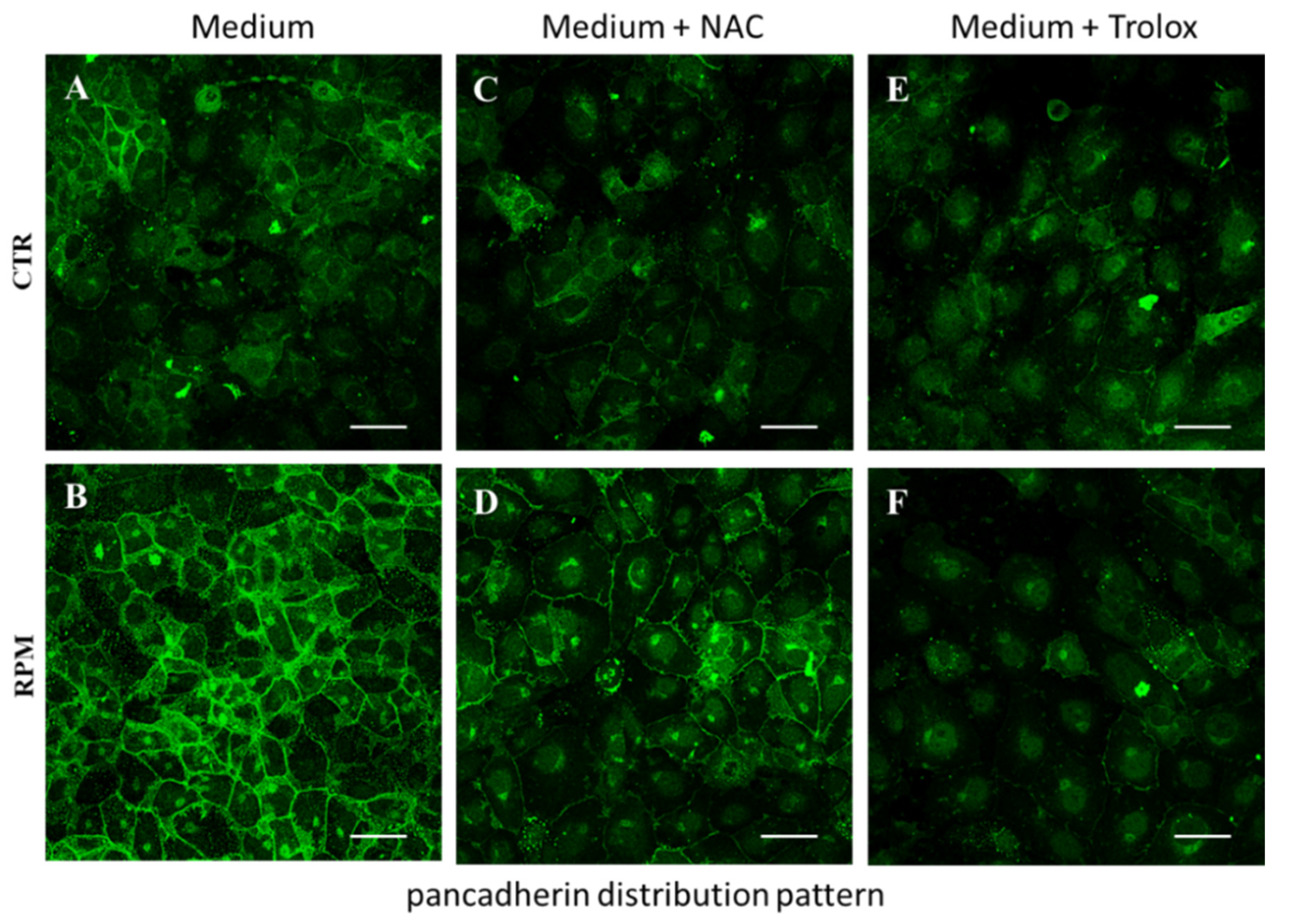 Applsci 10 08289 g007 Applsci 10 08289 g007