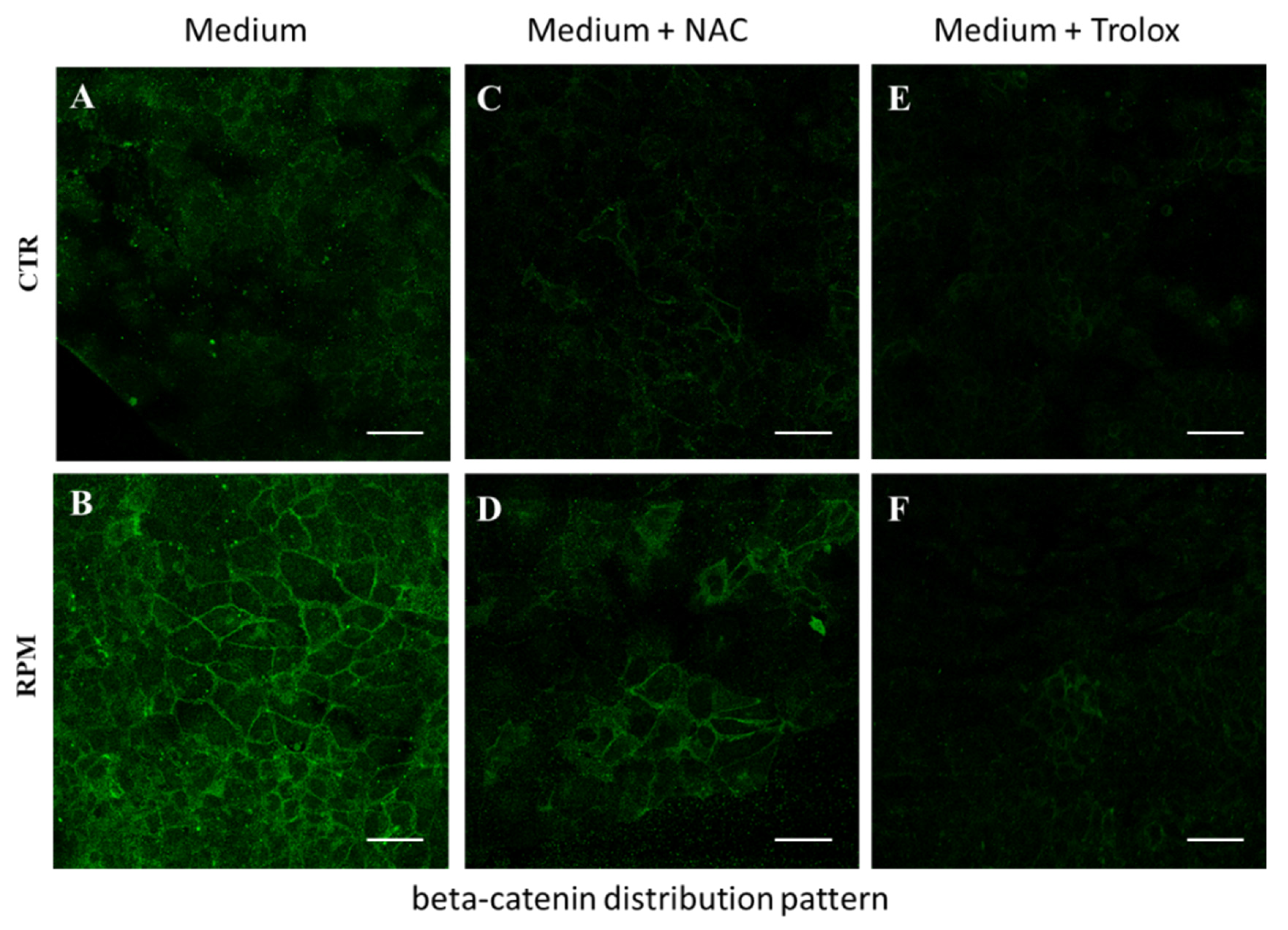 Applsci 10 08289 g008 Applsci 10 08289 g008