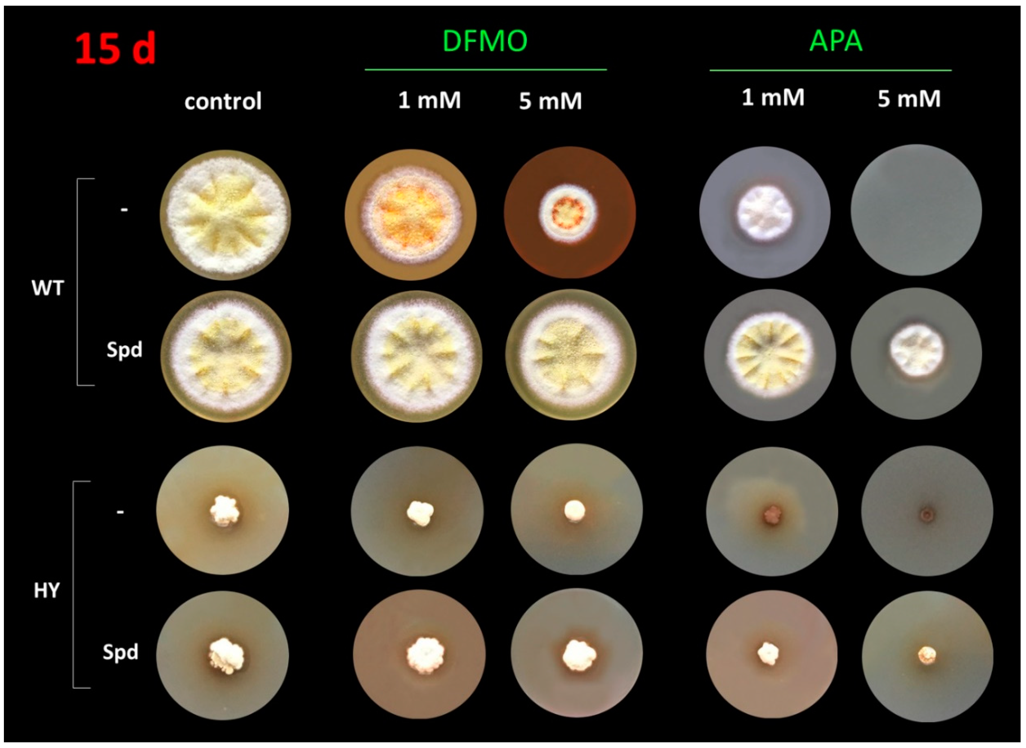 Applsci 10 08290 g001 Applsci 10 08290 g001