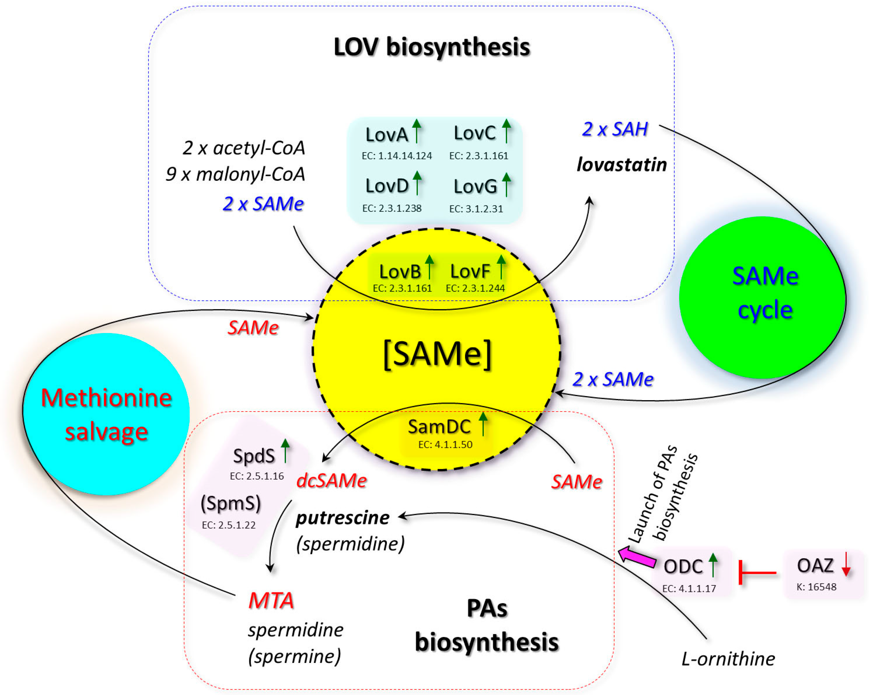 Applsci 10 08290 g005 Applsci 10 08290 g005