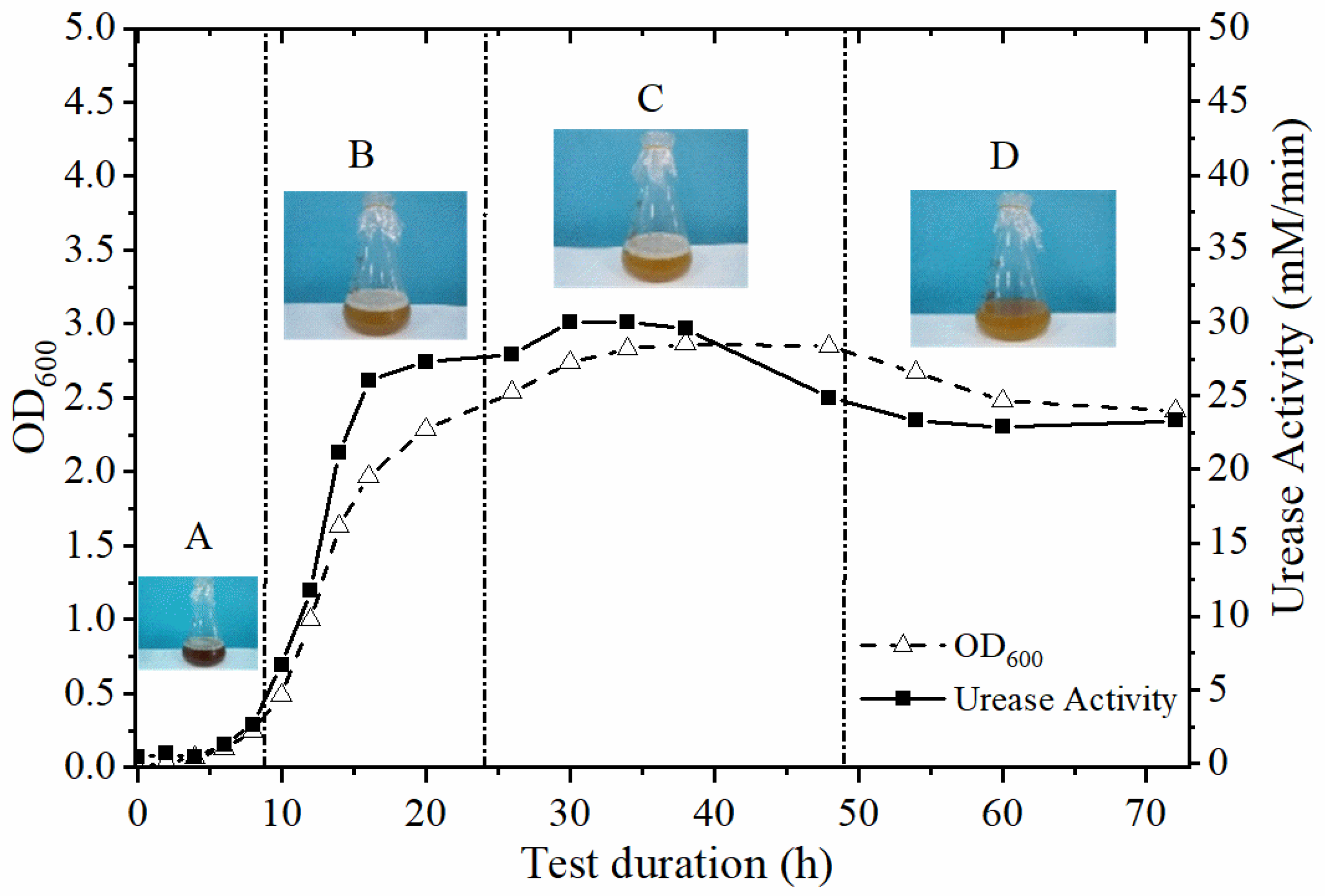 Applsci 10 08294 g001