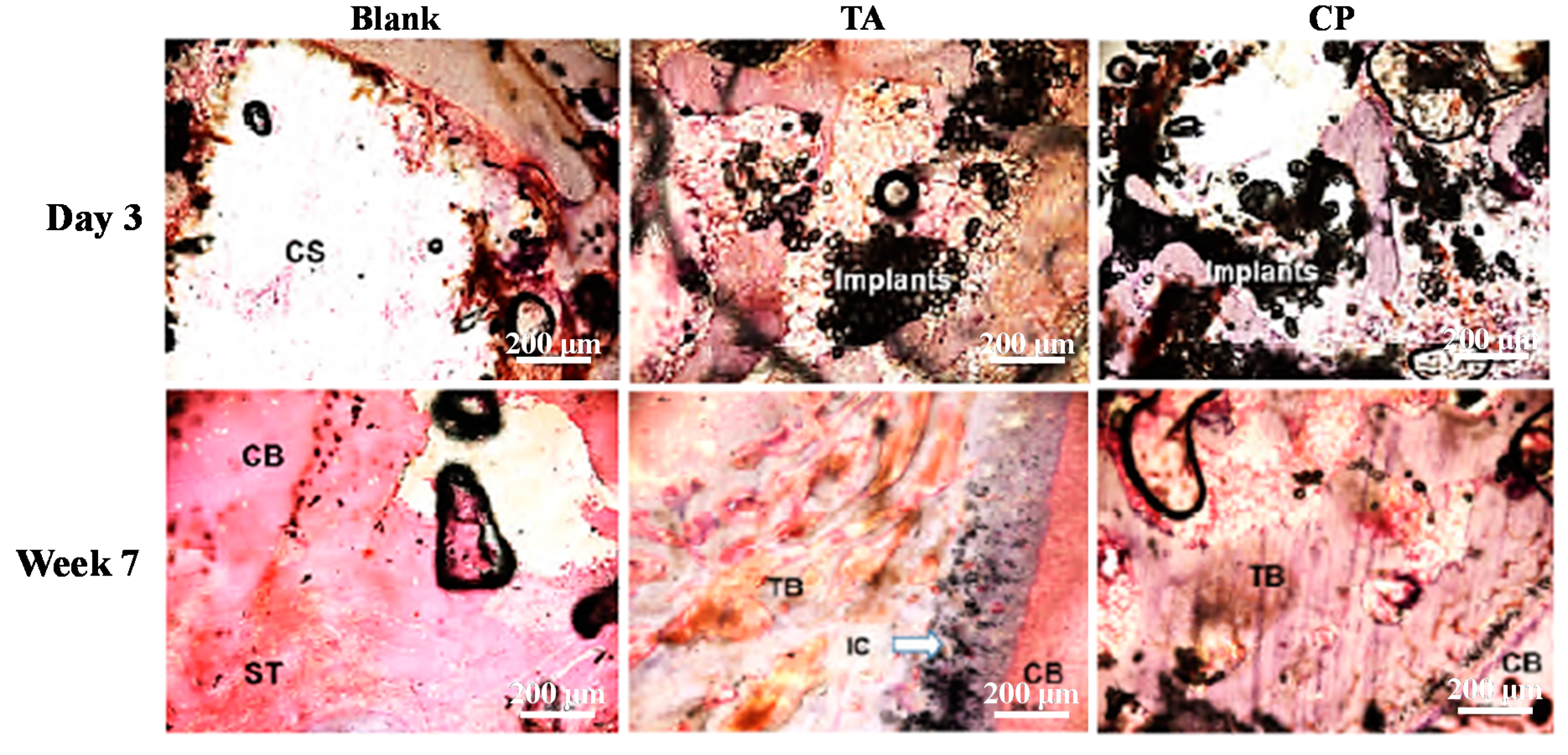 Applsci 10 08303 g005 Applsci 10 08303 g005