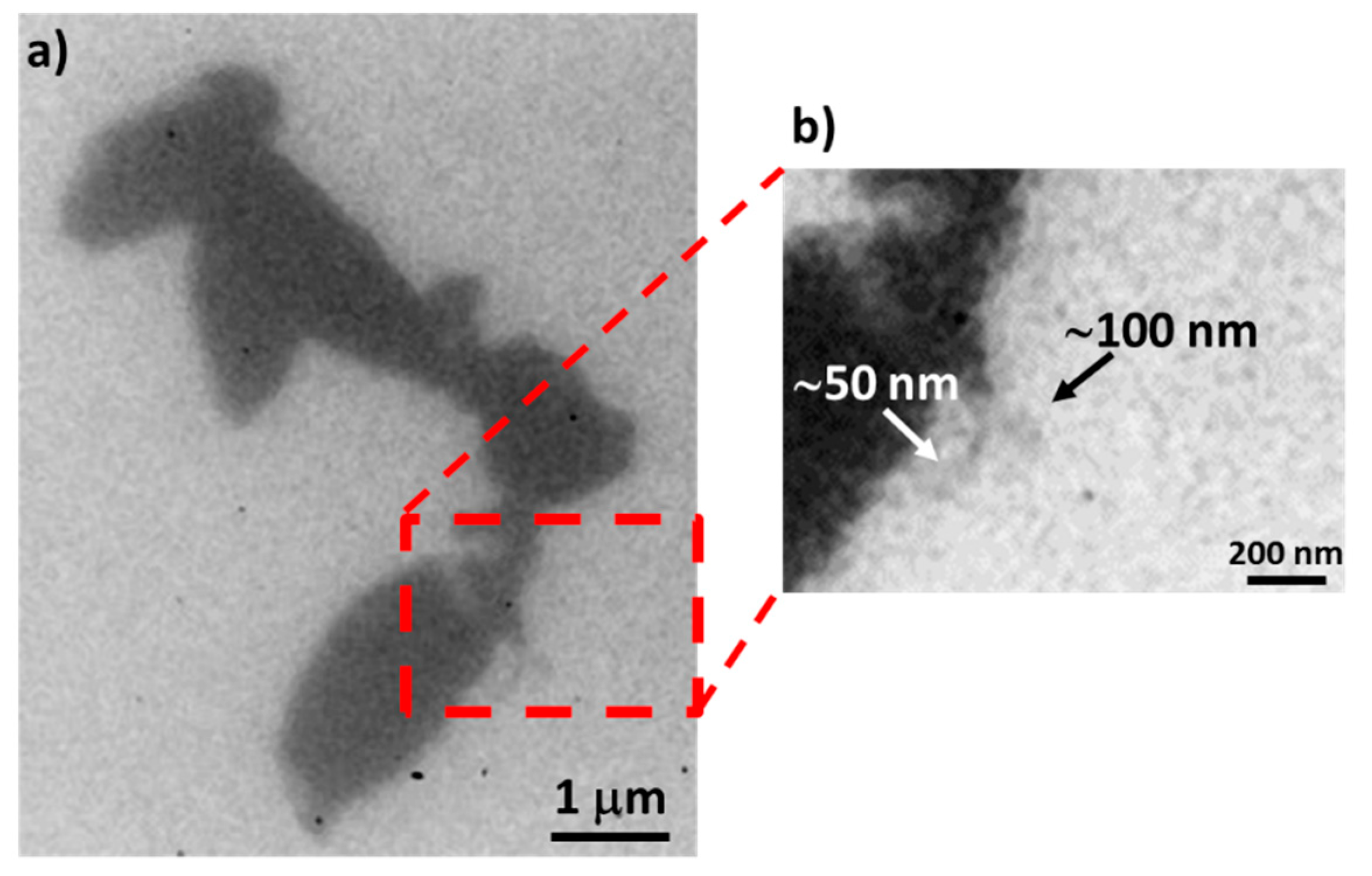 Applsci 10 08338 g015 Applsci 10 08338 g015