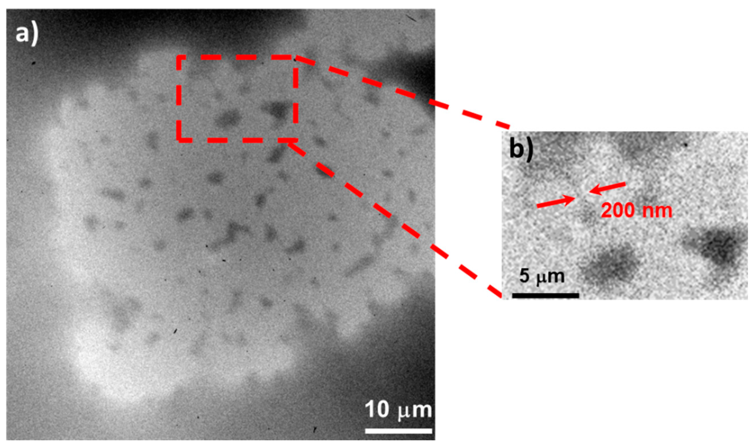 Applsci 10 08338 g016 Applsci 10 08338 g016