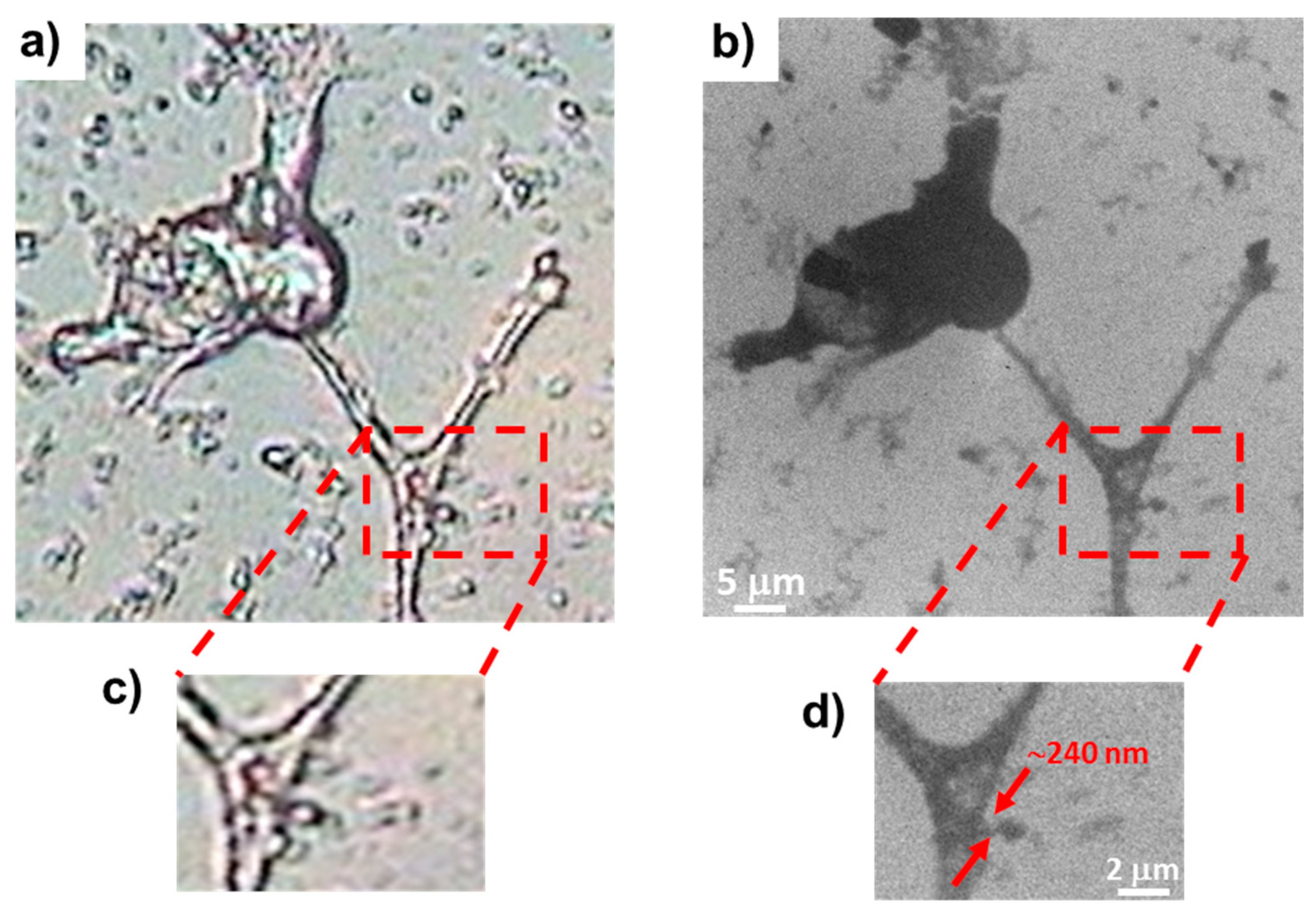 Applsci 10 08338 g018 Applsci 10 08338 g018