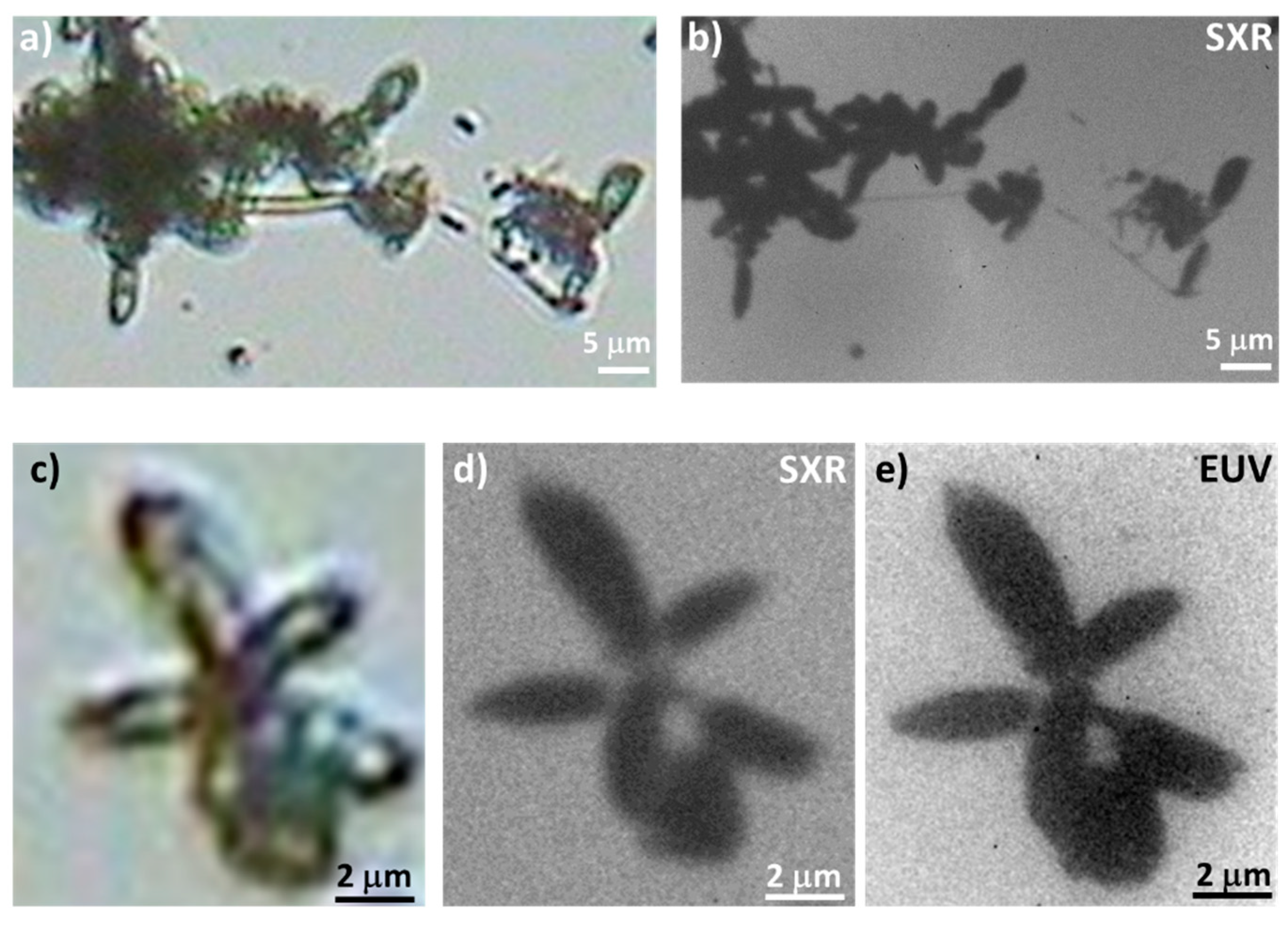 Applsci 10 08338 g020 Applsci 10 08338 g020