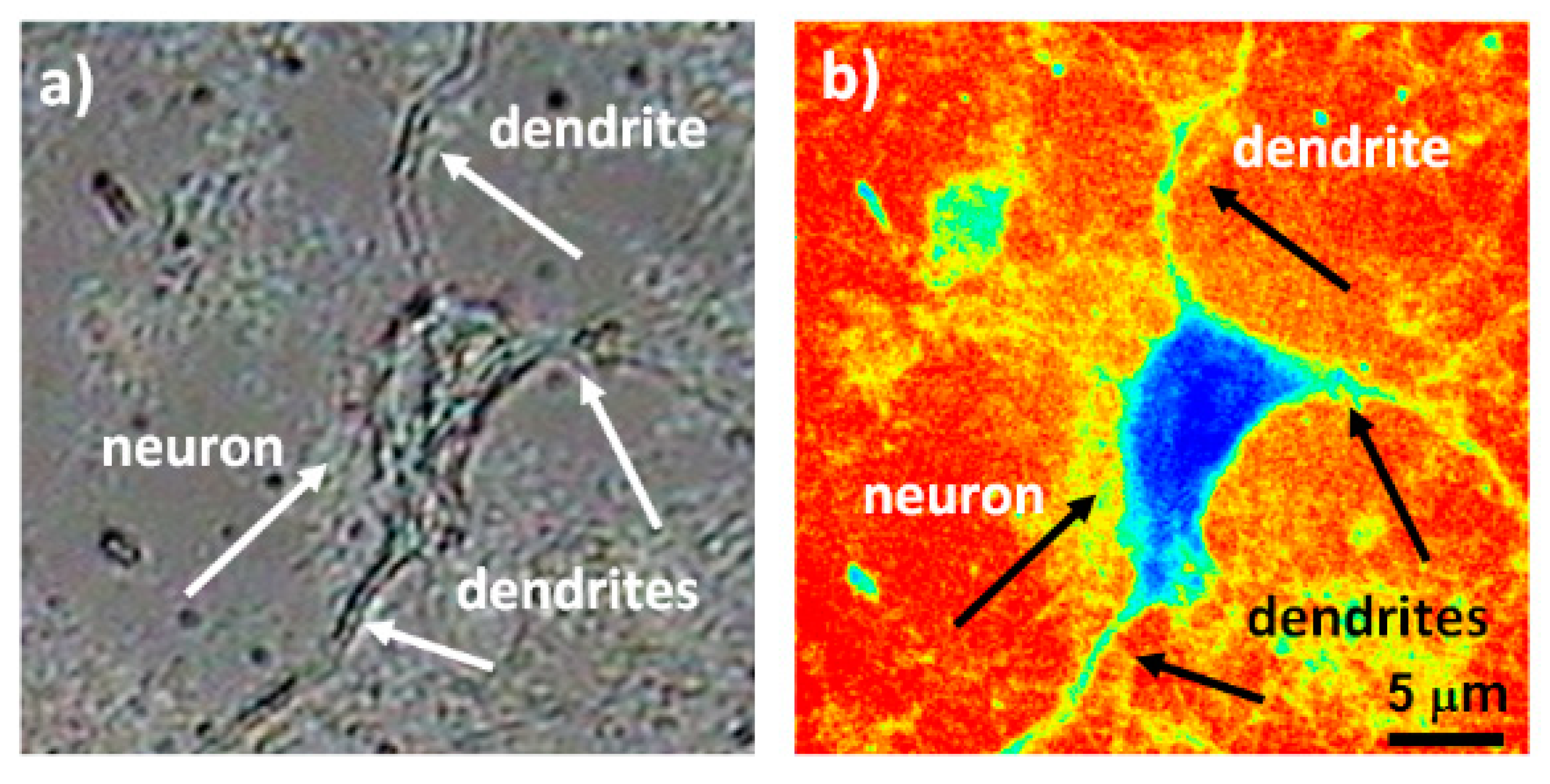 Applsci 10 08338 g021 Applsci 10 08338 g021